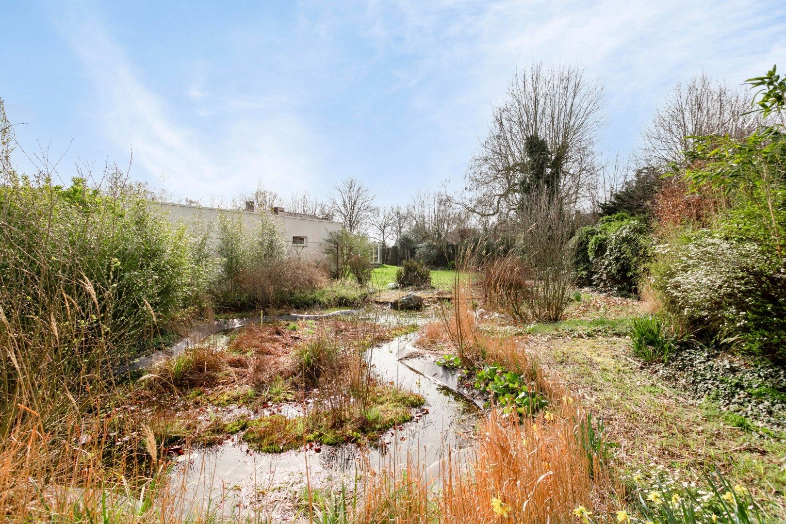 Bouwgrond op 1123 m² voor twee halfopen bebouwingen foto 4