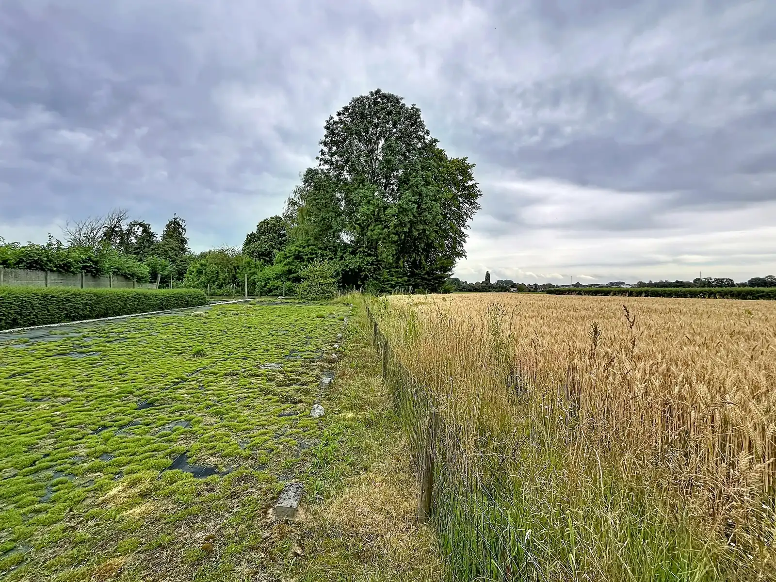 OB op een toplocatie foto 24