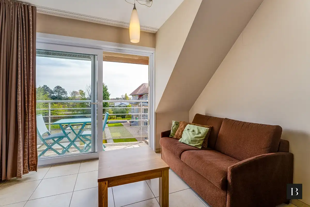 Zuidgericht 2-slaapkamerappartement met terras, dicht bij het centrum foto 9