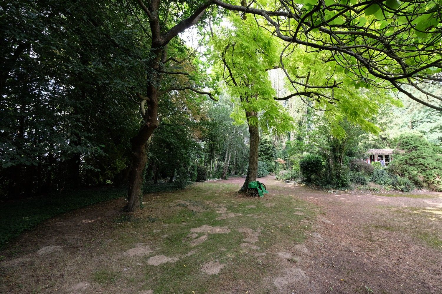 Uniek perceel met een charmante vakantiewoning midden in de natuur omgeven door een uitzonderlijke collectie van prachtige bomen. foto 35