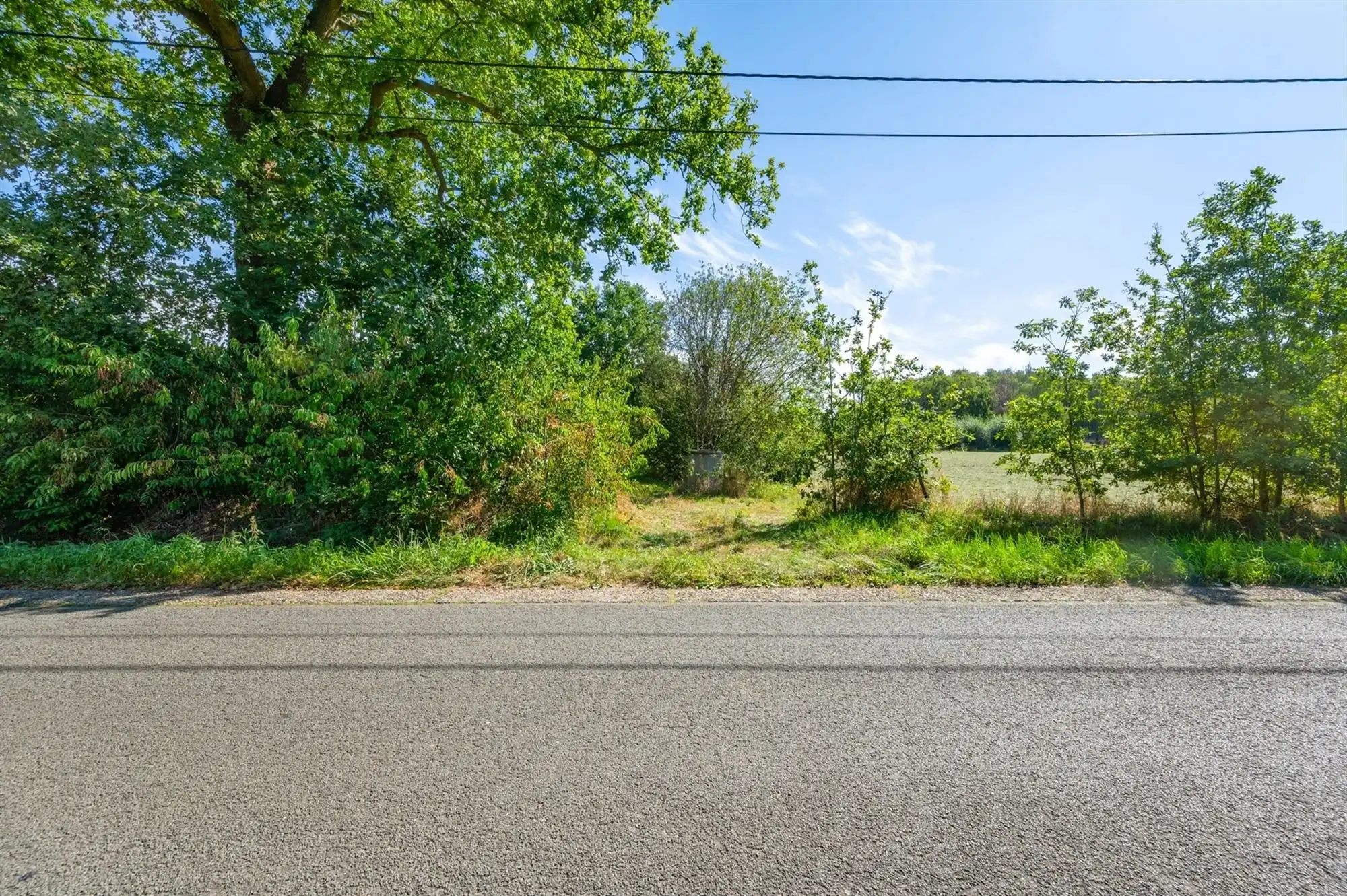 Perceel landbouwgrond te Beerzel - opp. 2547 m² foto 5