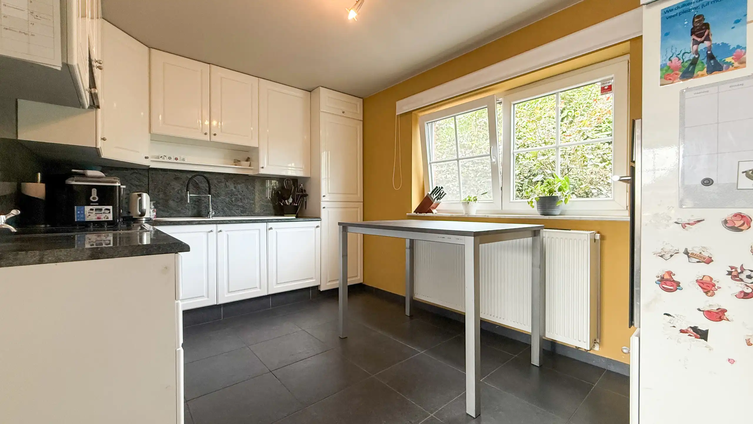 Instapklare woning op 9,8 are met prachtige tuin! foto 9