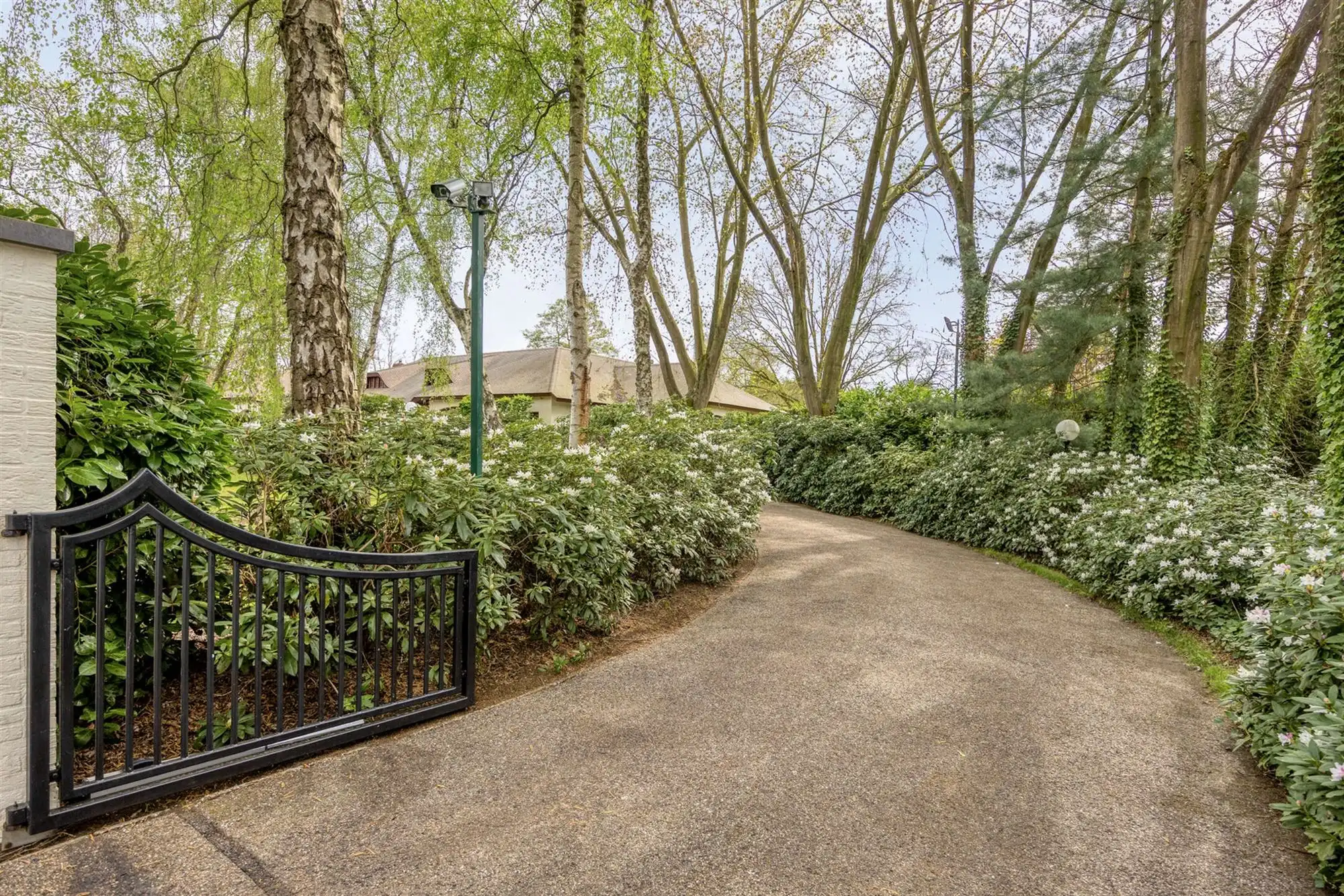 Exclusief landgoed met allure op parkdomein in Pelt foto 6