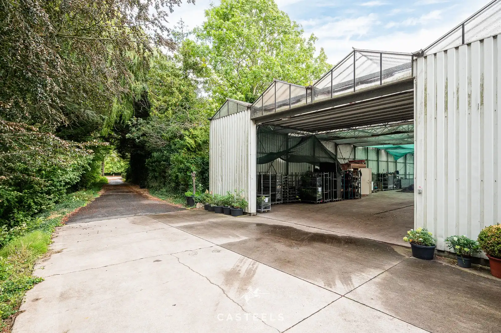 Serre op agrarische grond met logistieke toegangsweg foto 5