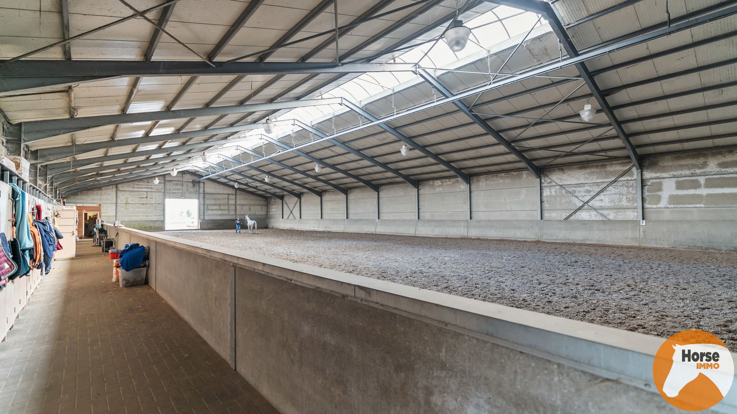 KAMPENHOUT - Professionele paardenaccommodatie op 4ha28 foto 6