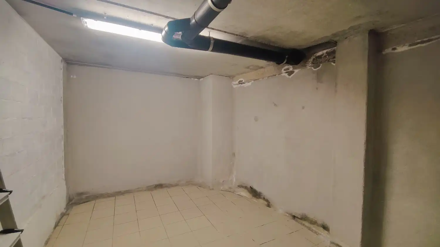 RESIDENTIE ARGUS foto 5