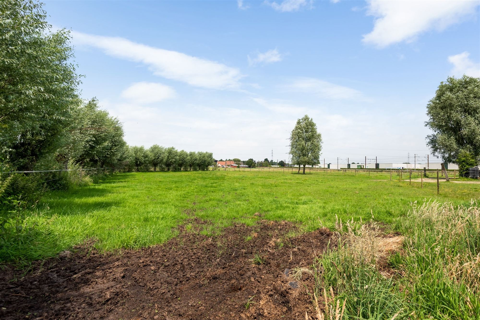 Prachtige paardenweide met stallen en piste foto 22