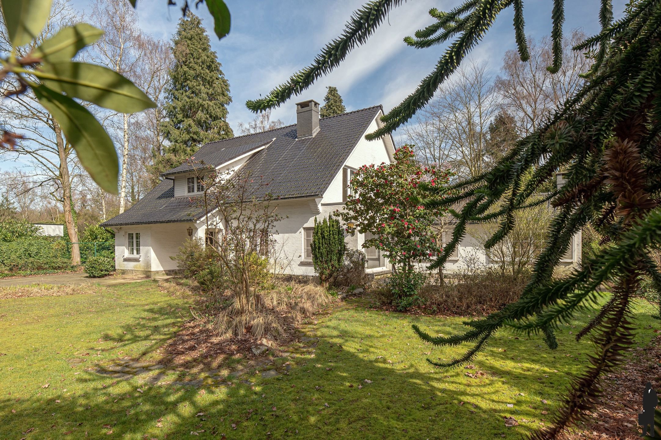 In Vriesdonk, op wandelafstand van de  openluchtschool Sint-Ludgardis gelegen, volledig te renoveren villa op ca. 1.800 m². foto 12