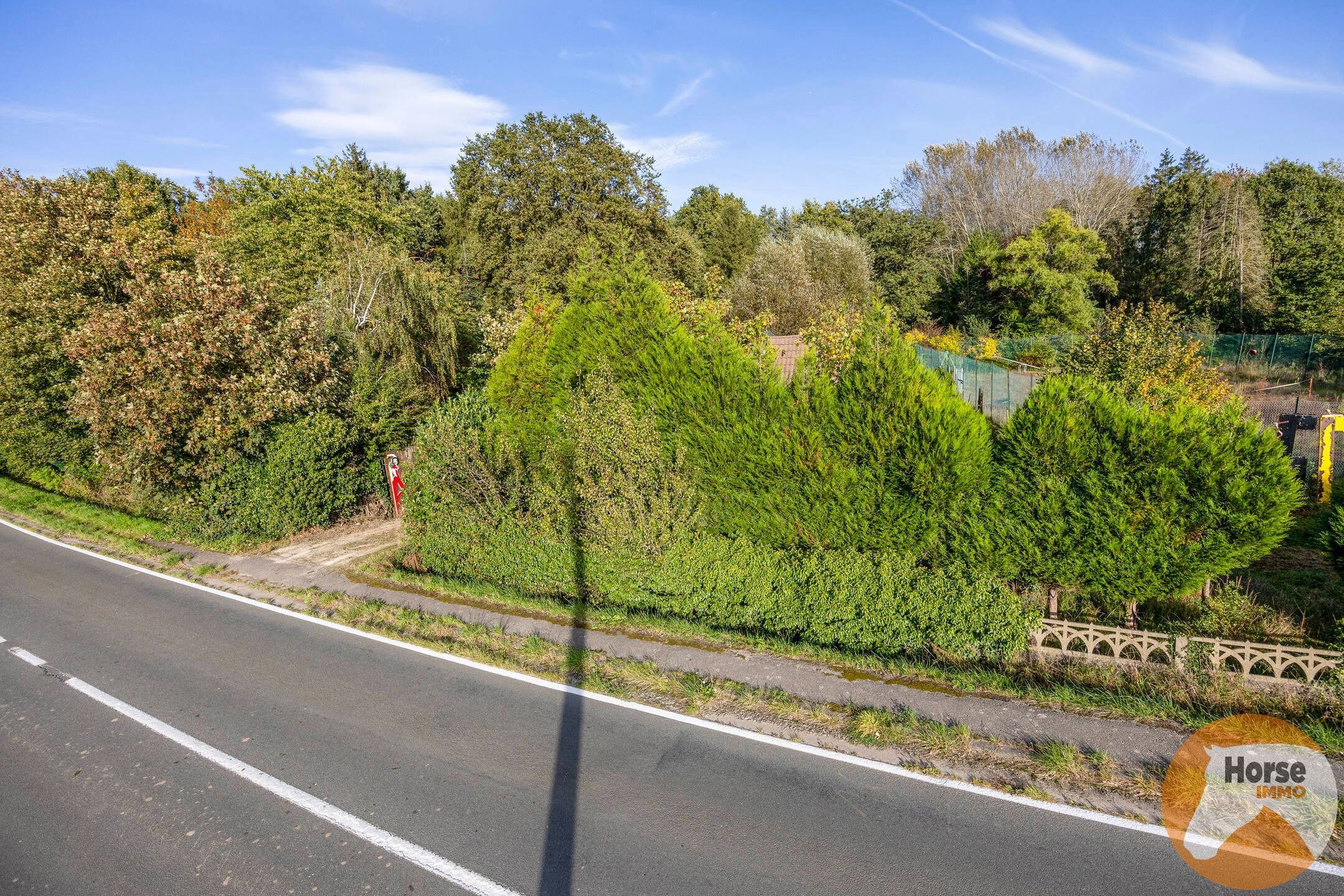 VELTEM-BEISEM - Woning met weilanden en eigen bos op 3ha32 foto 3