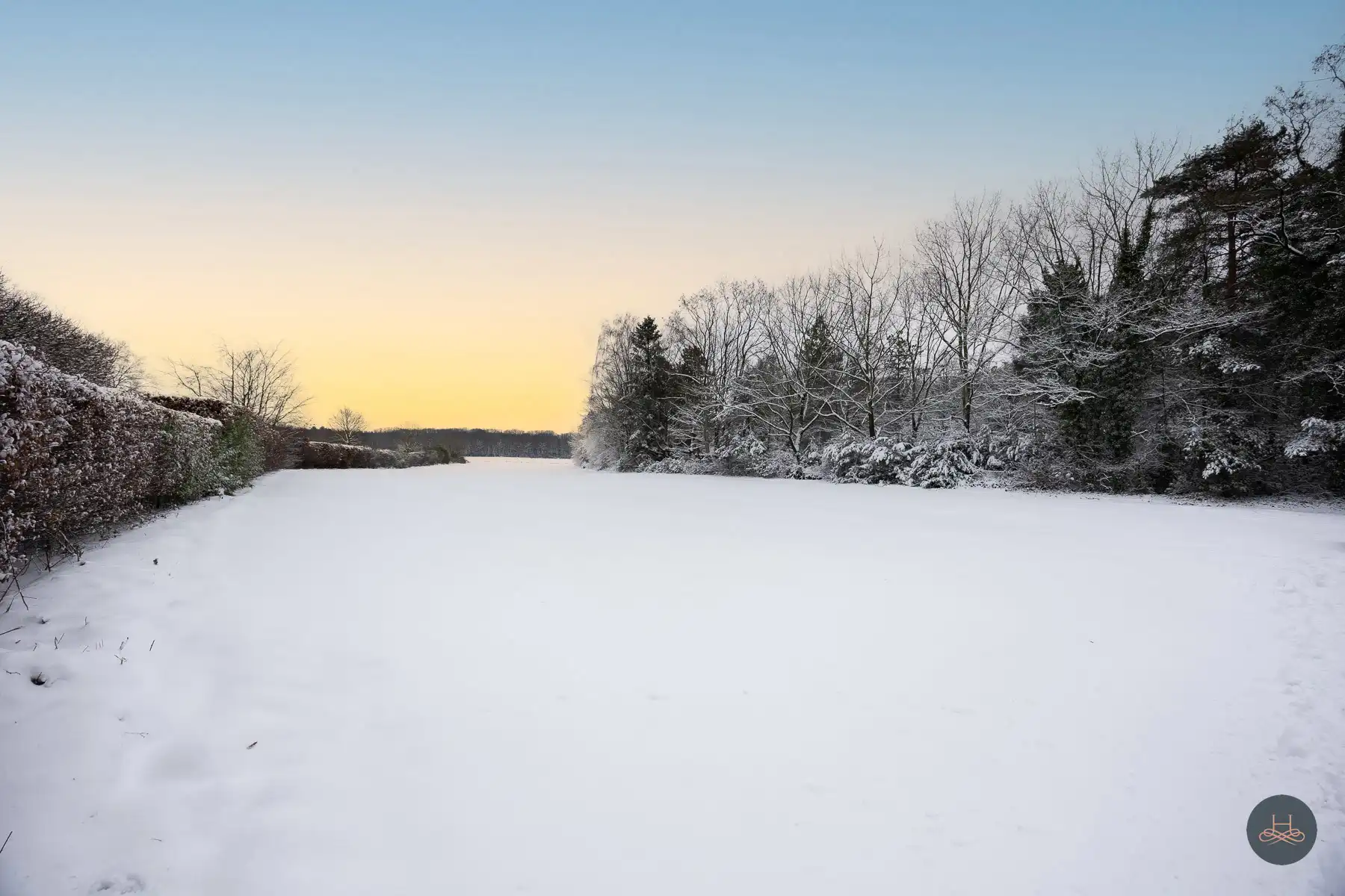 Unieke bouwgrond met weiland in Brasschaat foto 10