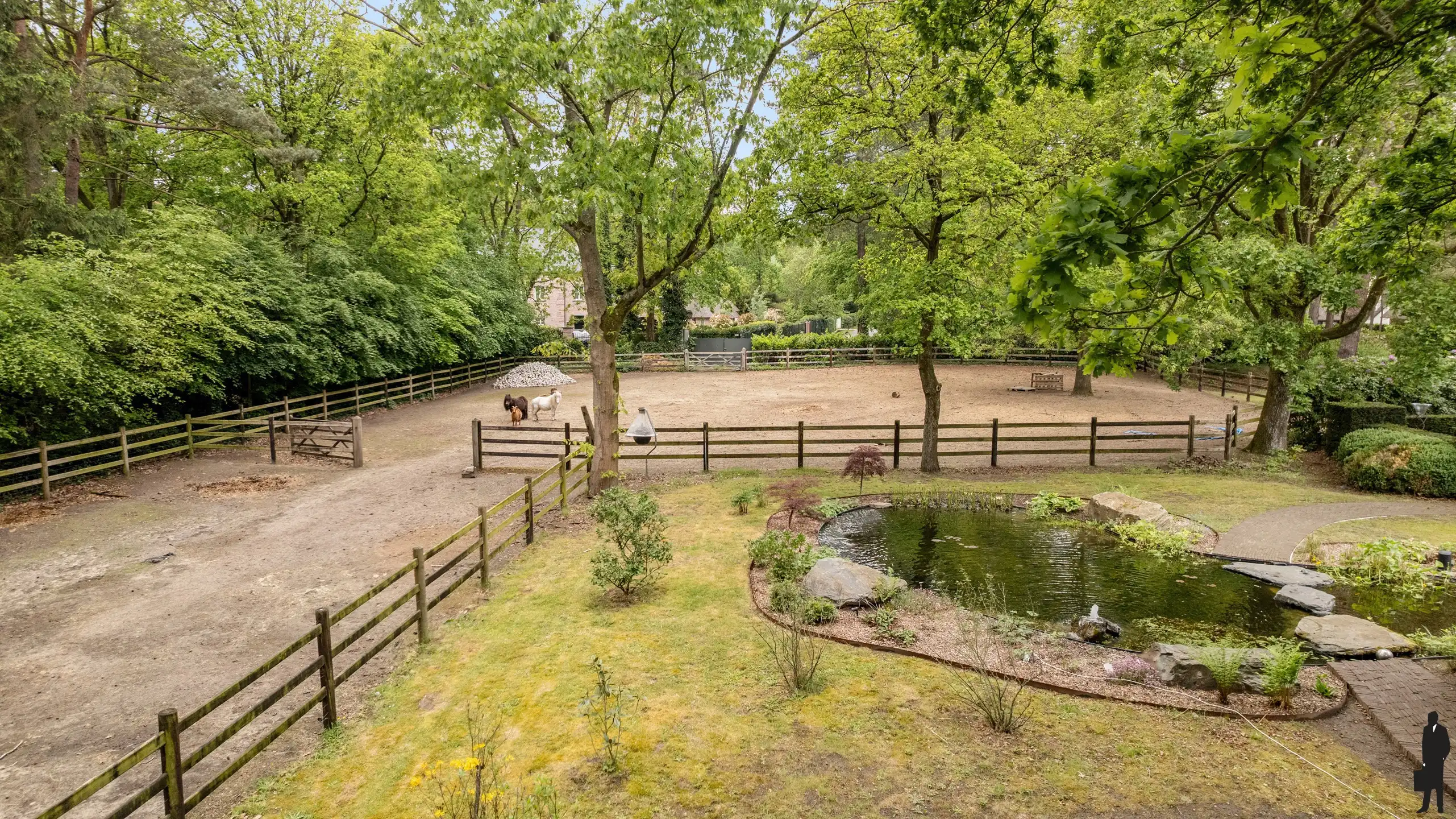 Topgelegen villa met zwembad en paddock!  foto 55