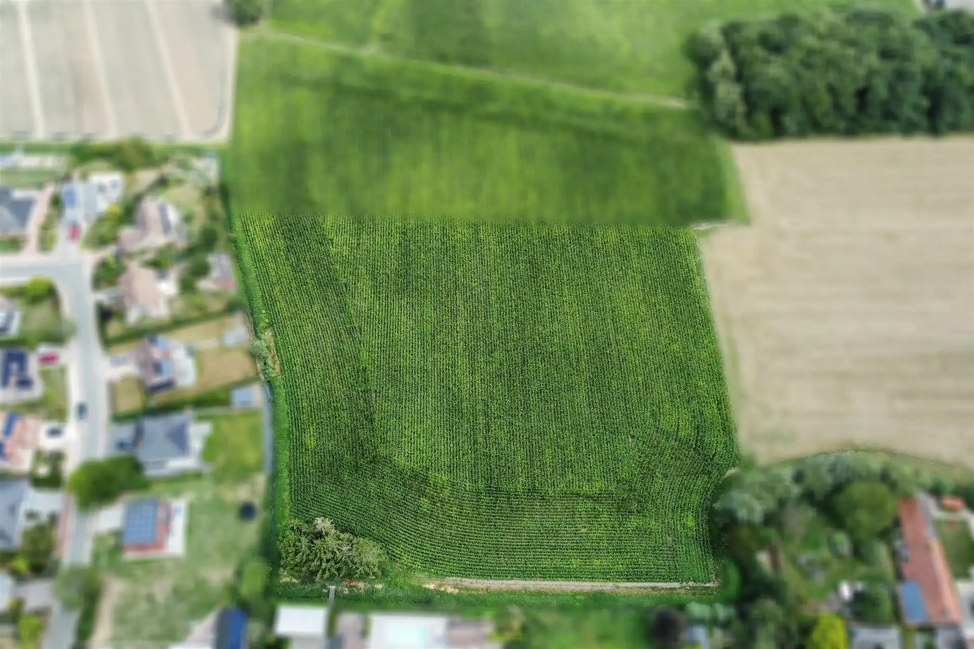 Gunstig gelegen landbouwgrond op een perceel van 1ha 23a. foto 2