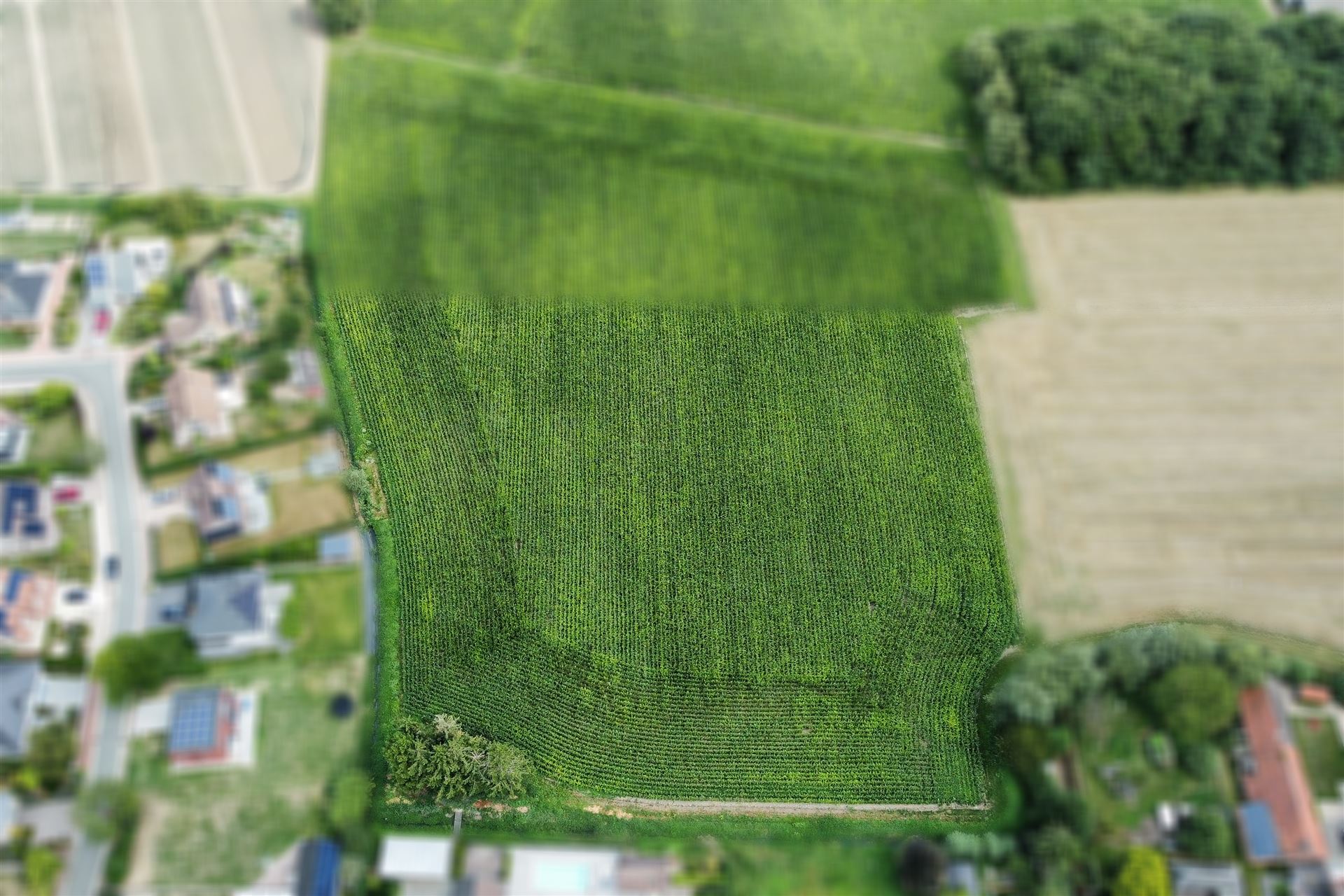 Gunstig gelegen landbouwgrond op een perceel van 1ha 23a. foto 2