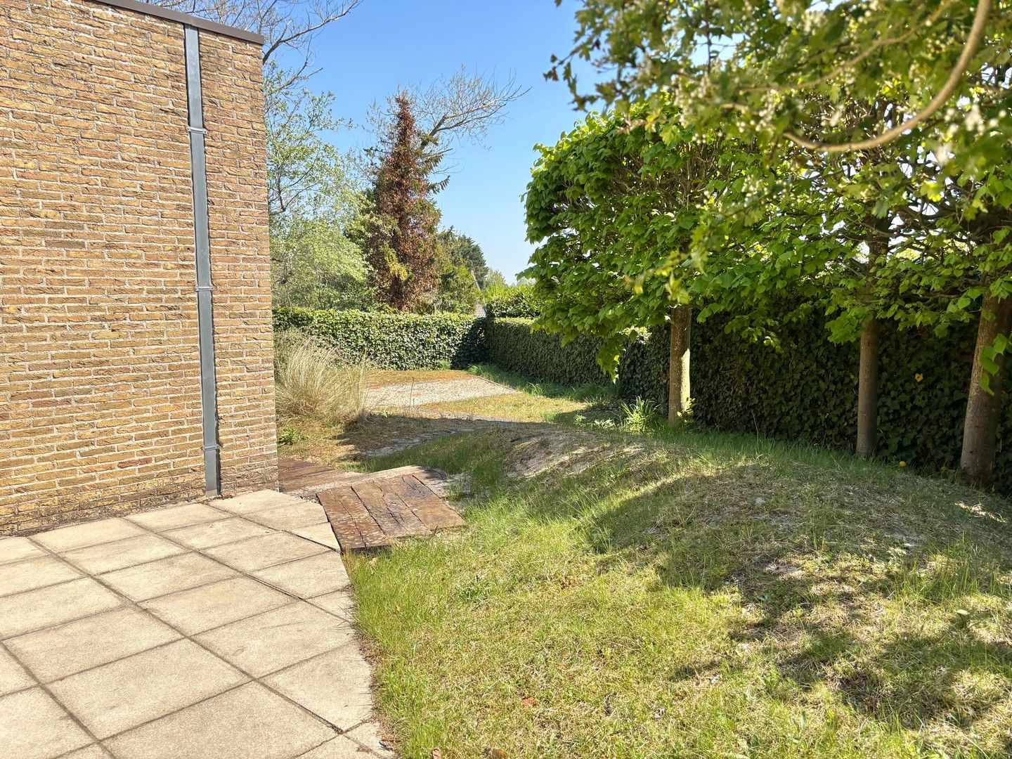 Bijzondere modernistische Villa te huur residentieel gelegen foto 19