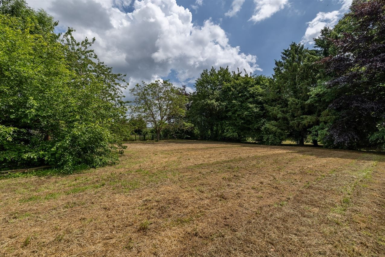 Landelijk gelegen driegevelwoning 2 slpk op 1431m² foto 26