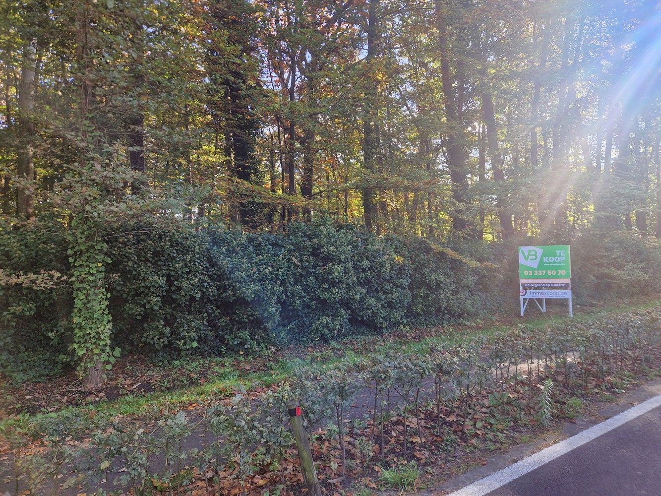 Bouwgrond (5.003 m²) voor een open bebouwing in Kapellen! foto 9