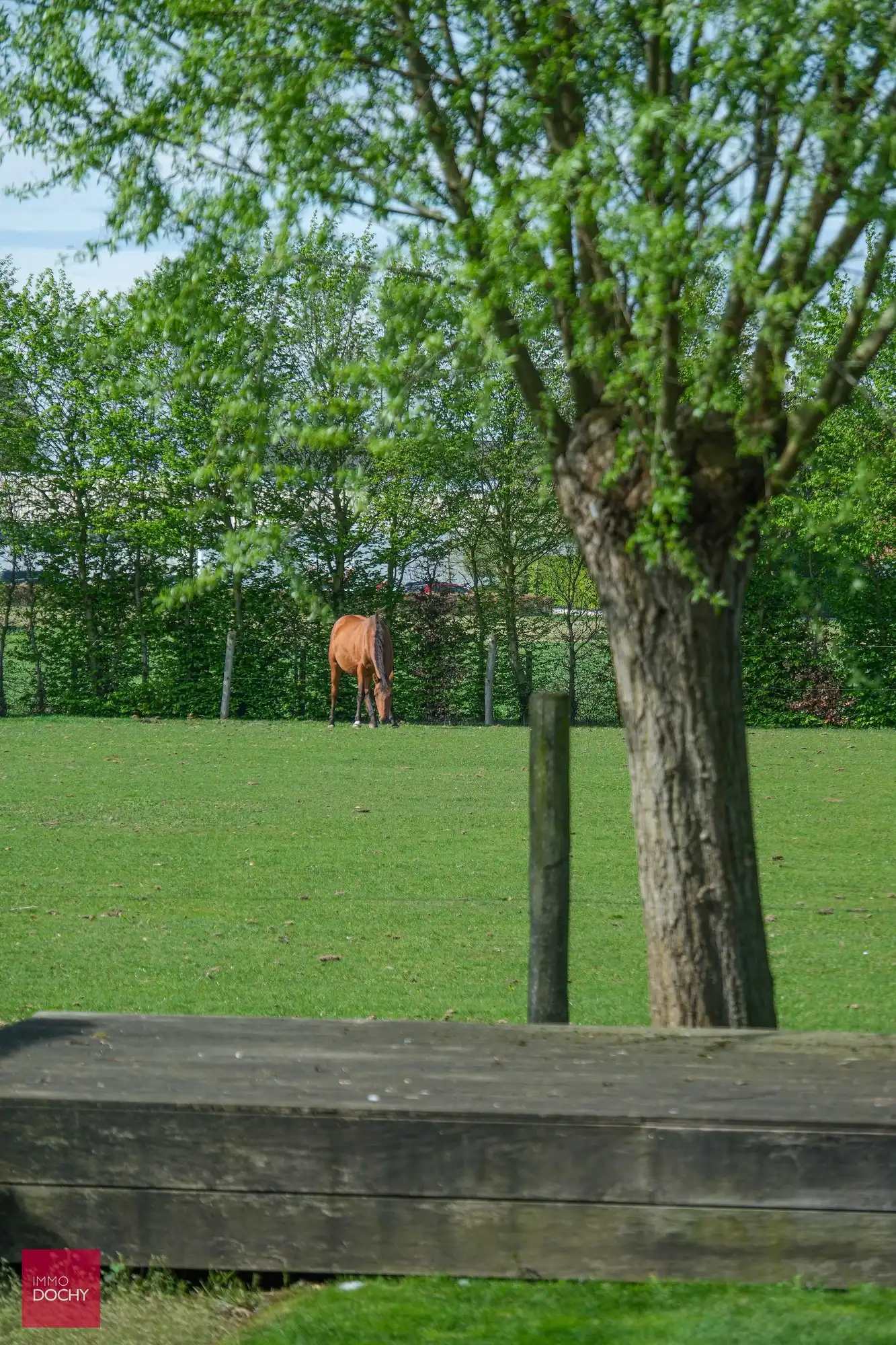 Rustig gelegen vernieuwde villa foto 15