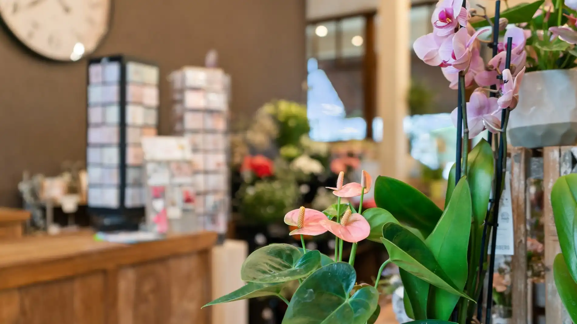 KESSEL-LO Handelspand + garage  foto 9