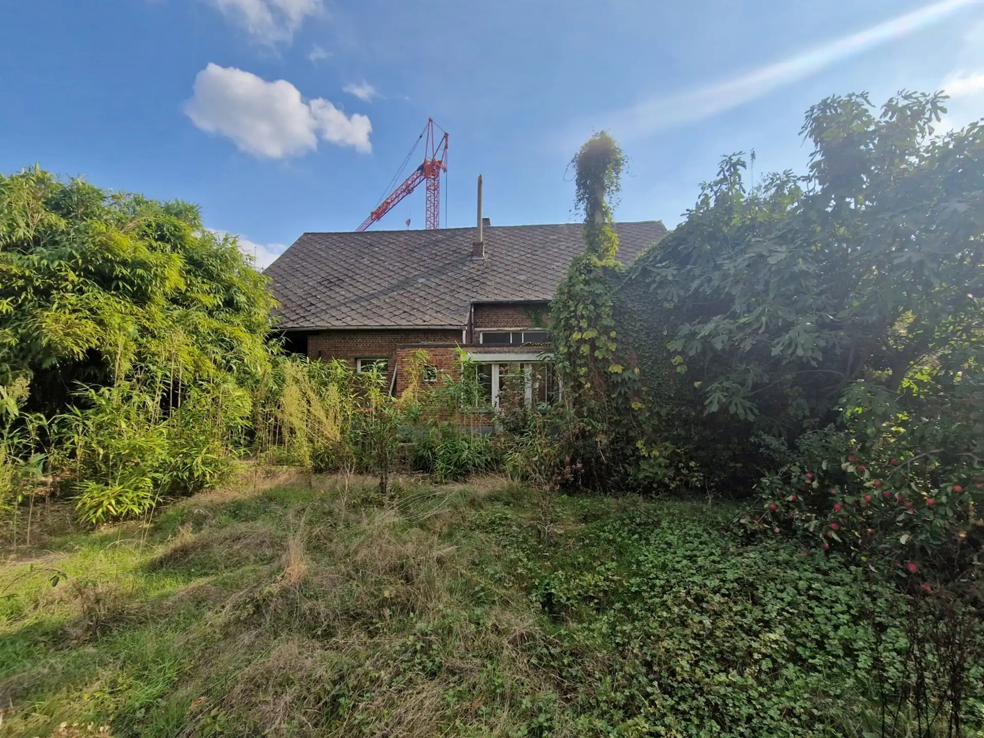 Ruime woning met veel potentieel te Werchter foto 12