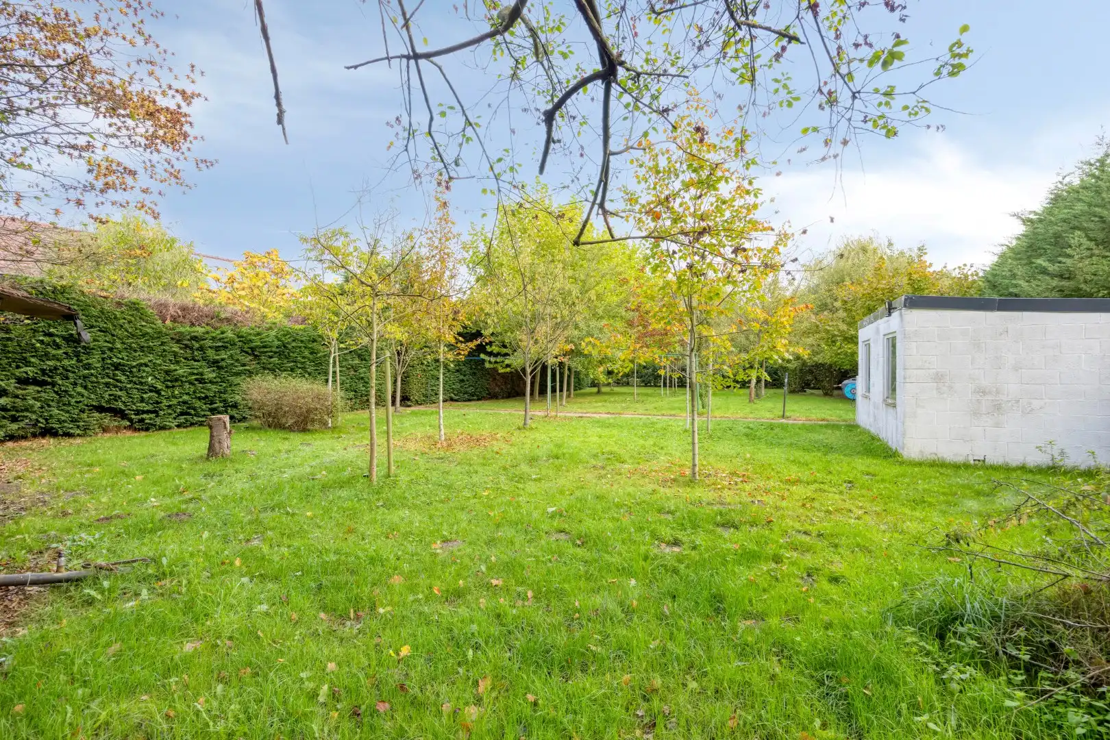 Prima onderhouden en ruime villa in Mol op een perceel van ca 30a ! foto 35