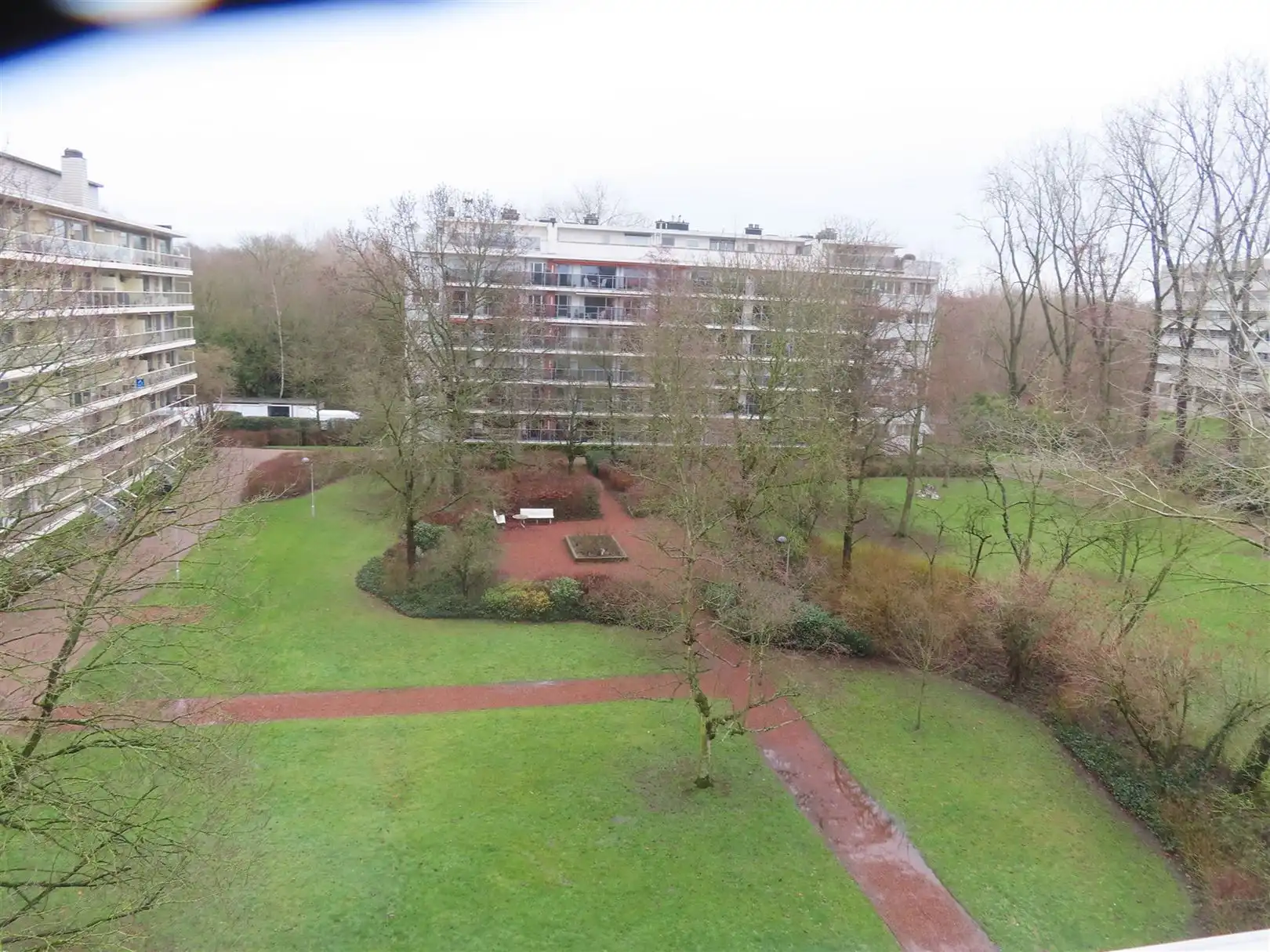 Gezellig appartement (2slpk) met groot terras in Edegem! foto 3