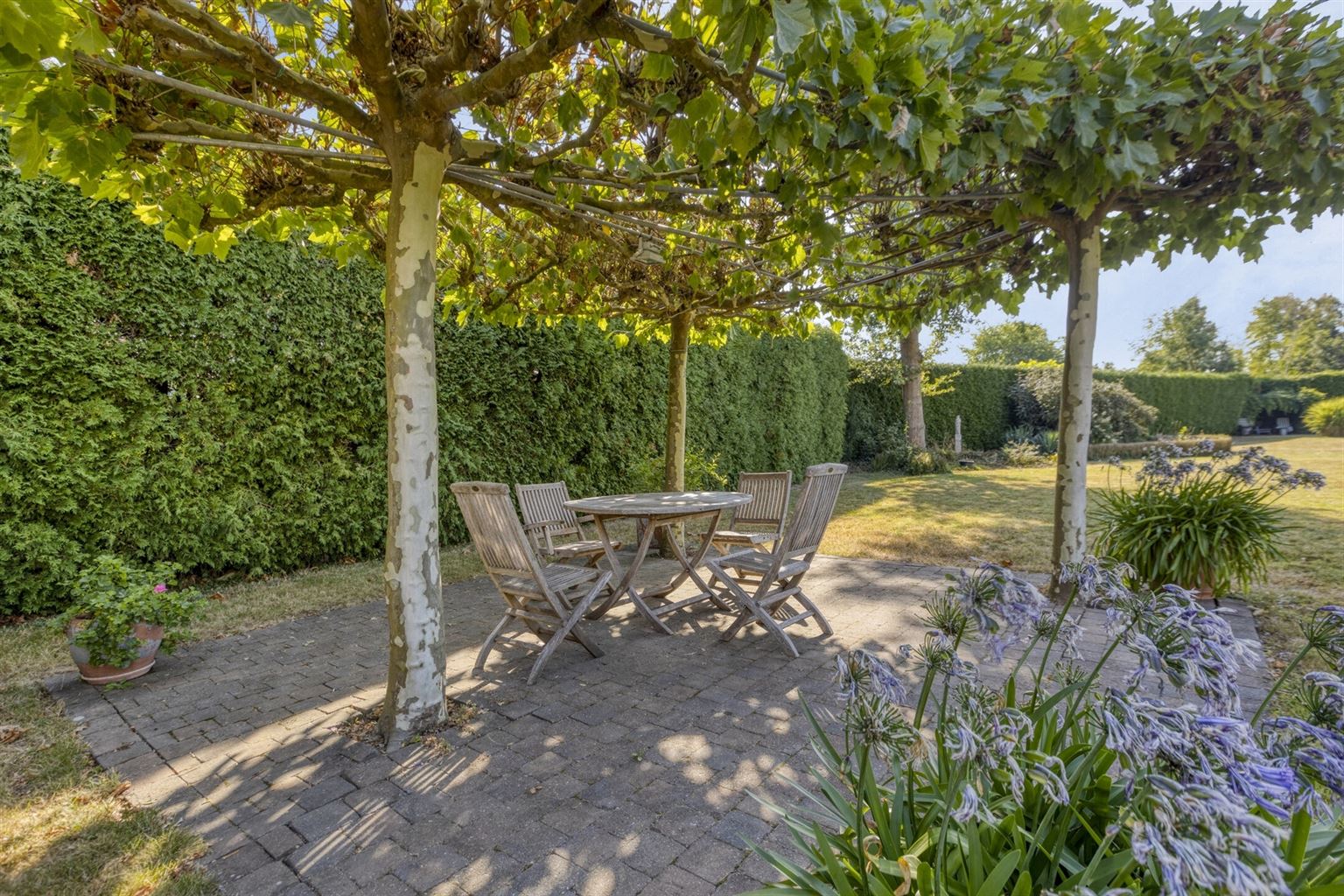 KIJKDAG ZA. 22/11 VAN 10U TOT 12U. WELKOM ZONDER AFSPRAAK! foto 33