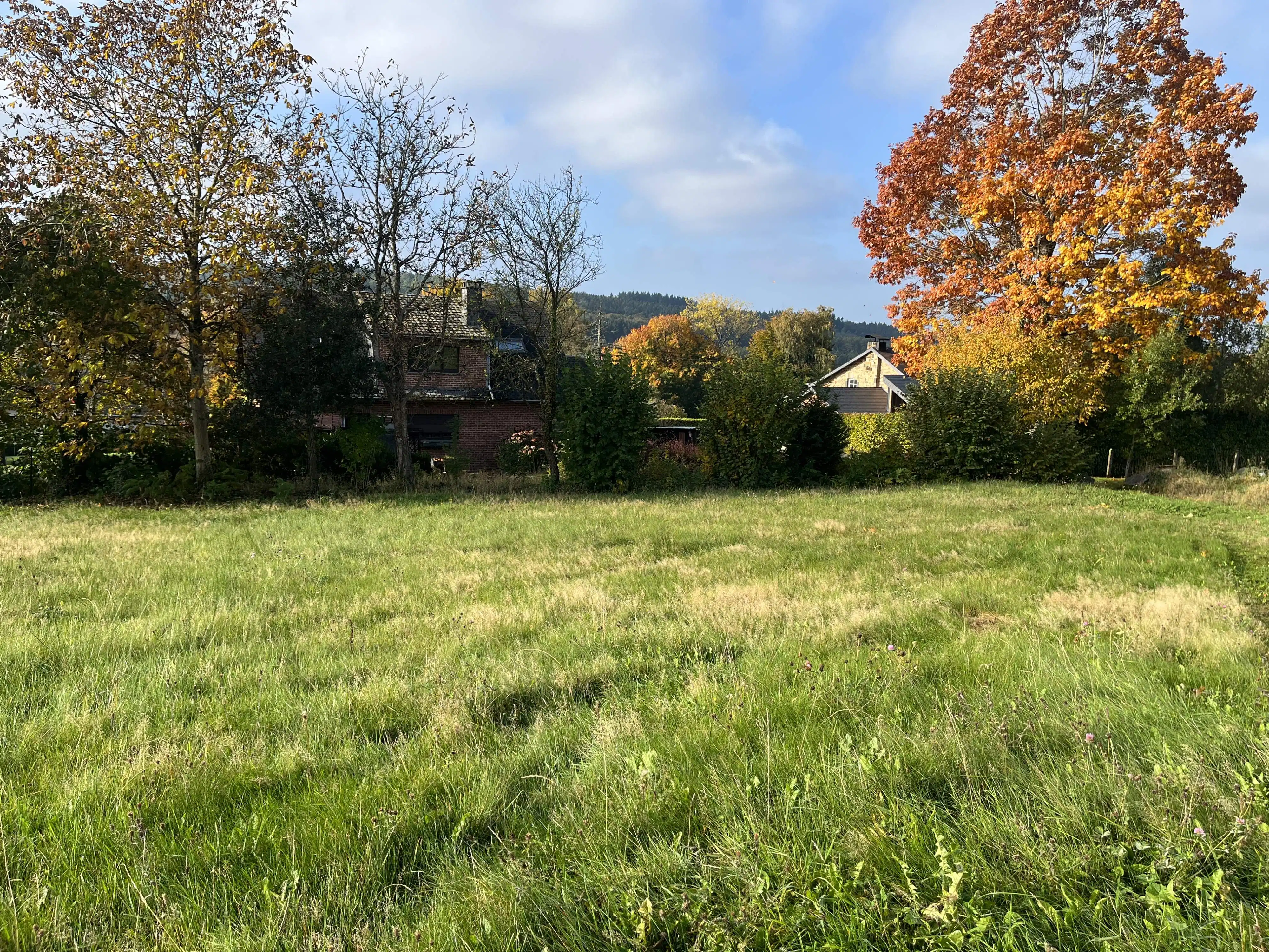 Uniek perceel bouwgrond te koop te Vesqueville foto 10