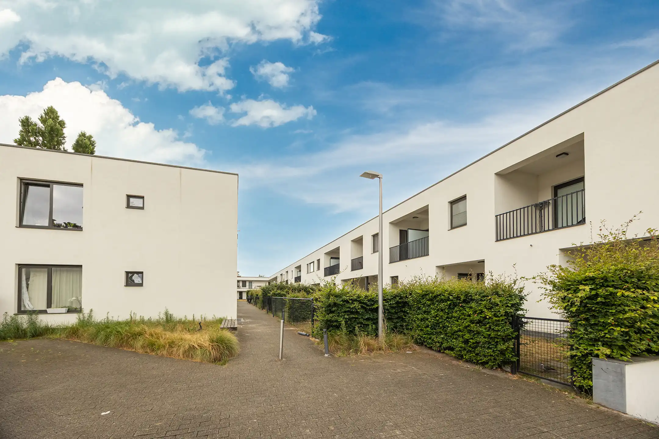 Gezinswoning met tuin in Melrose Park foto 2