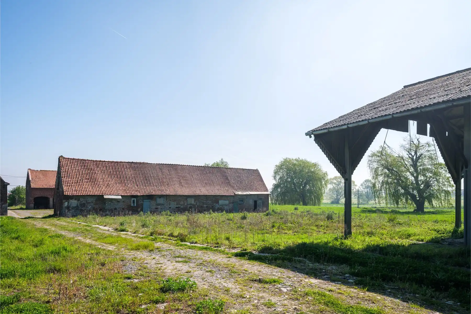Een hectare groen, klaar voor jouw toekomst (zonevreemd!) foto 9