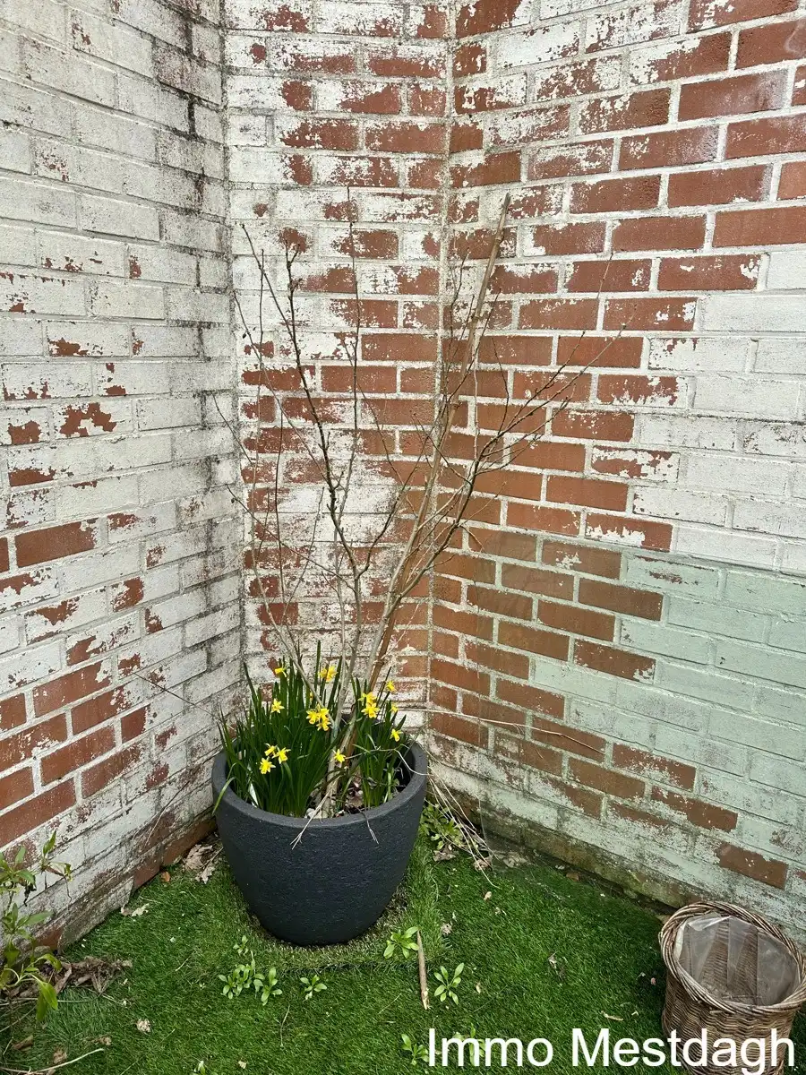 Charmant Gelijkvloers Appartement met Ruim Terras in Hartje Diest. foto 13