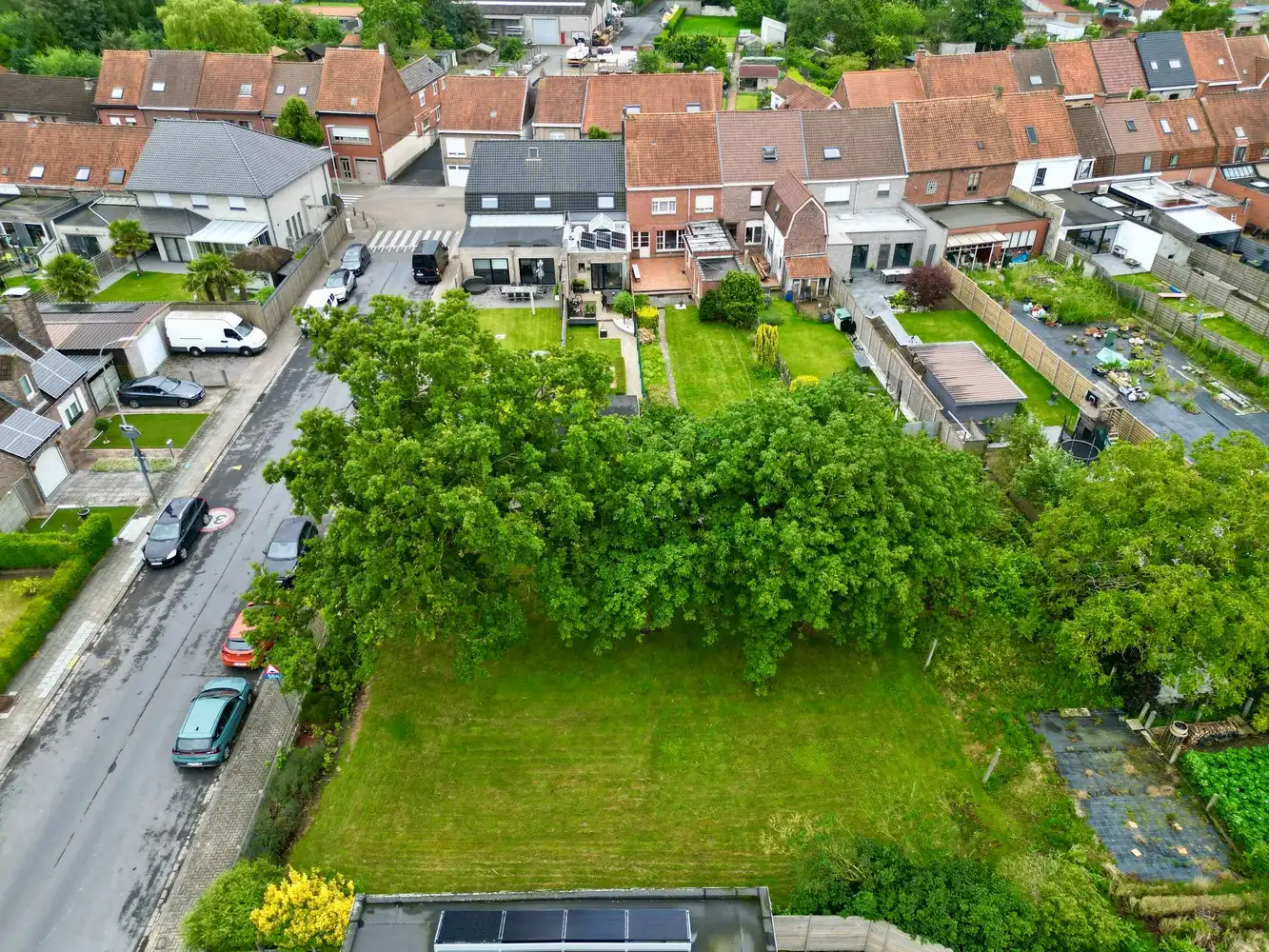 Bouwgrond geschikt voor open bebouwing te Wevelgem foto 3