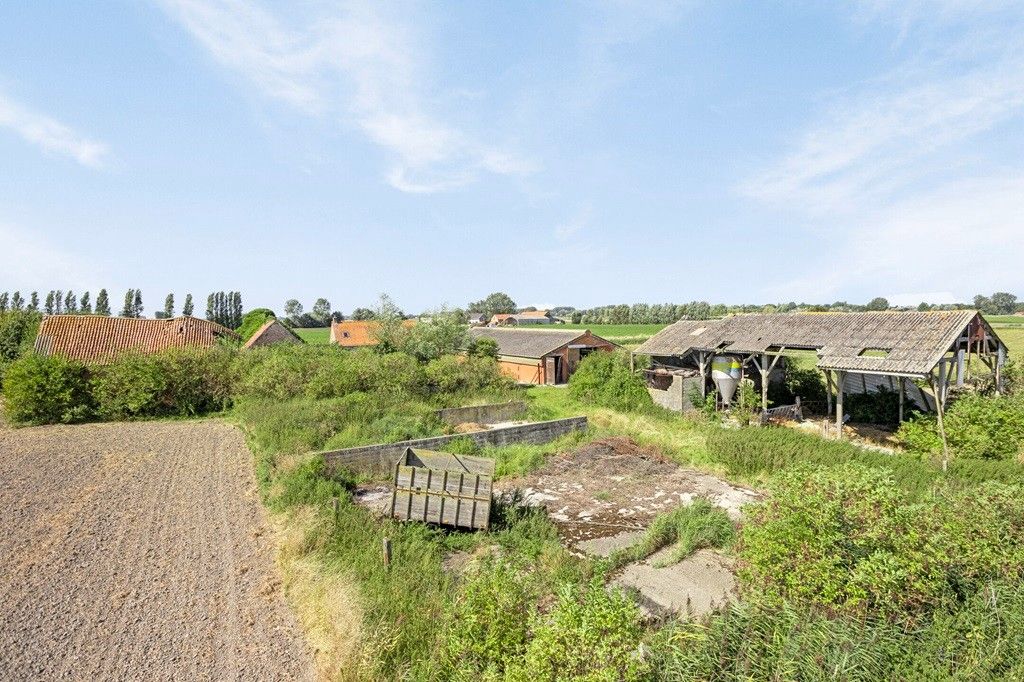 ADINKERKE: Te renoveren hoeve in een vredige en idyllische omgeving met vlotte verbinding richting kust op 3.570m² grondoppervlakte. foto 4