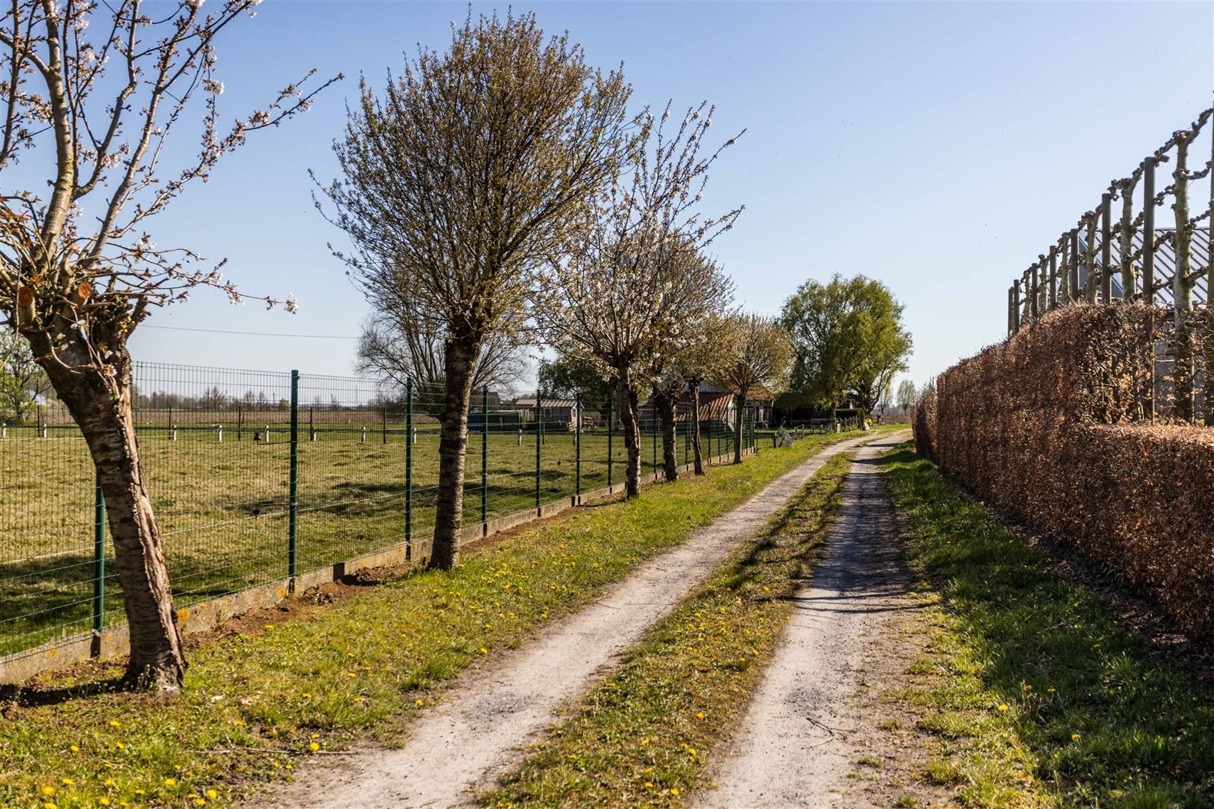 Landelijk wonen... realiseer hier uw woondroom! foto 3