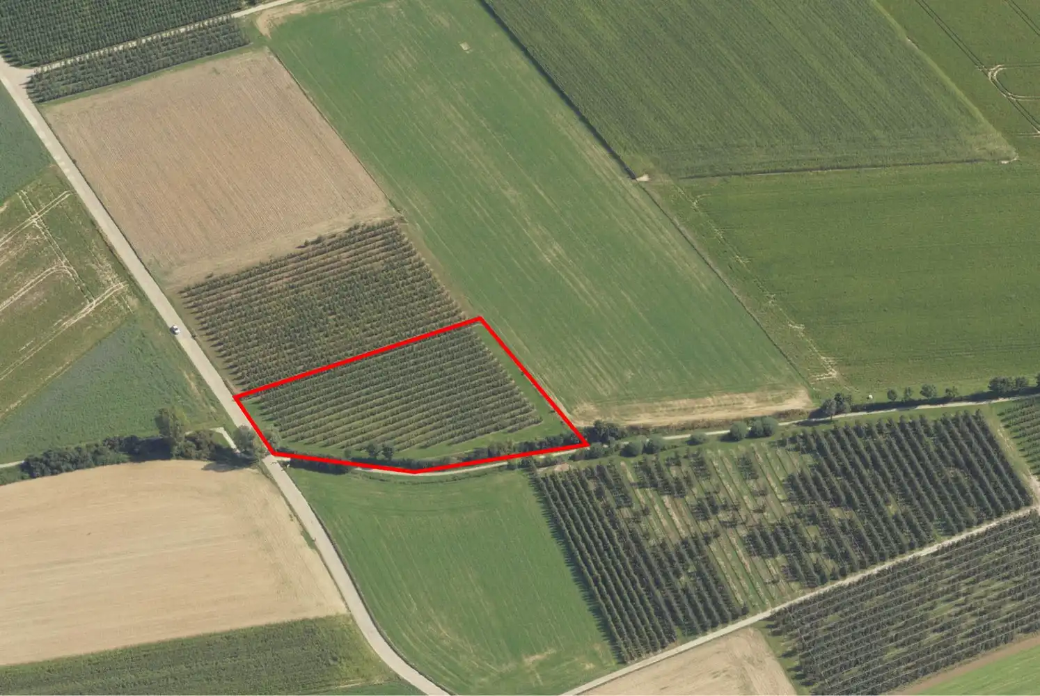 Landbouwgrond van 57a 95ca te Gelinden foto 2