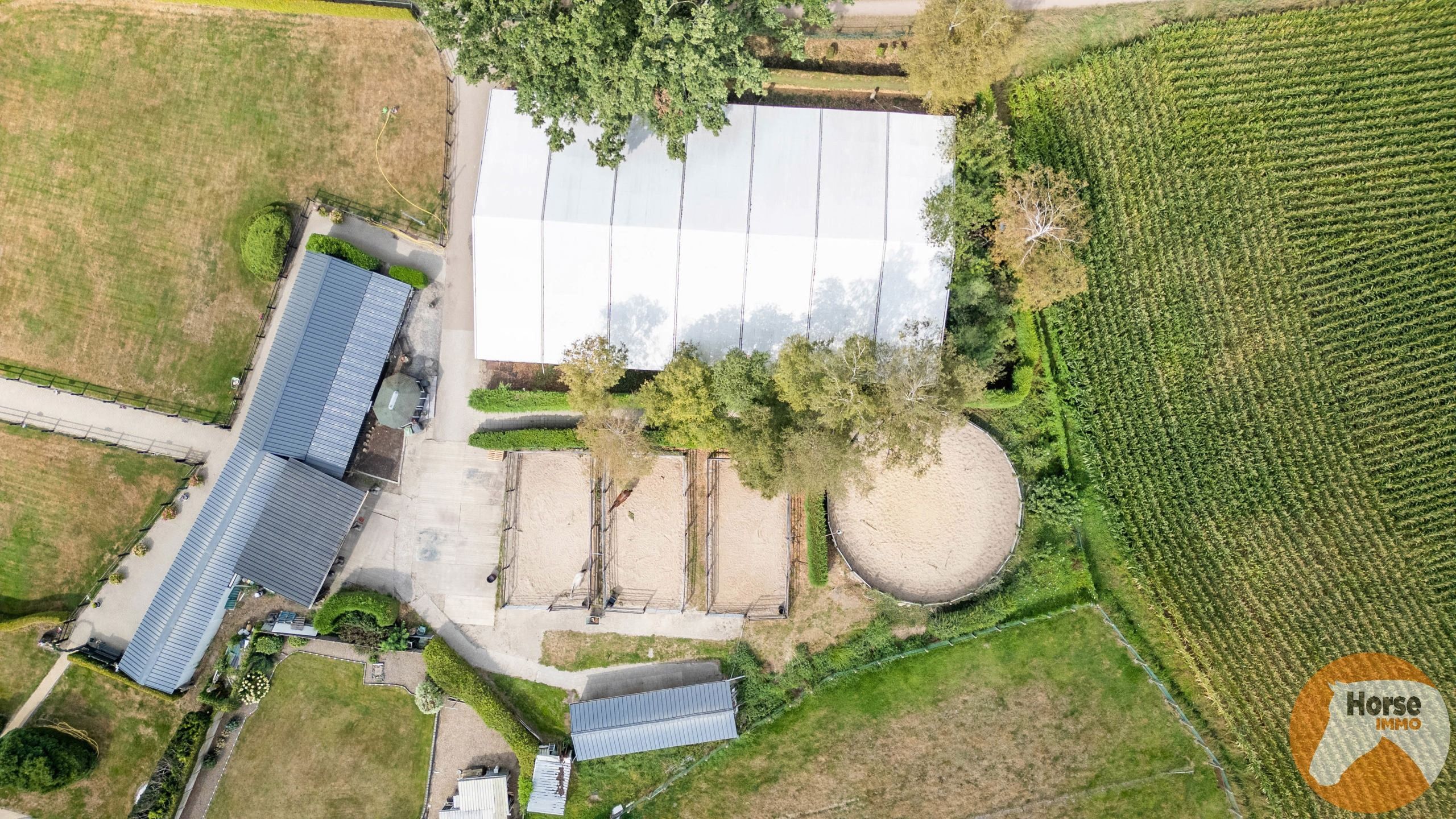 NEEROETEREN - Woning met accommodatie voor (semi)professioneel foto 10