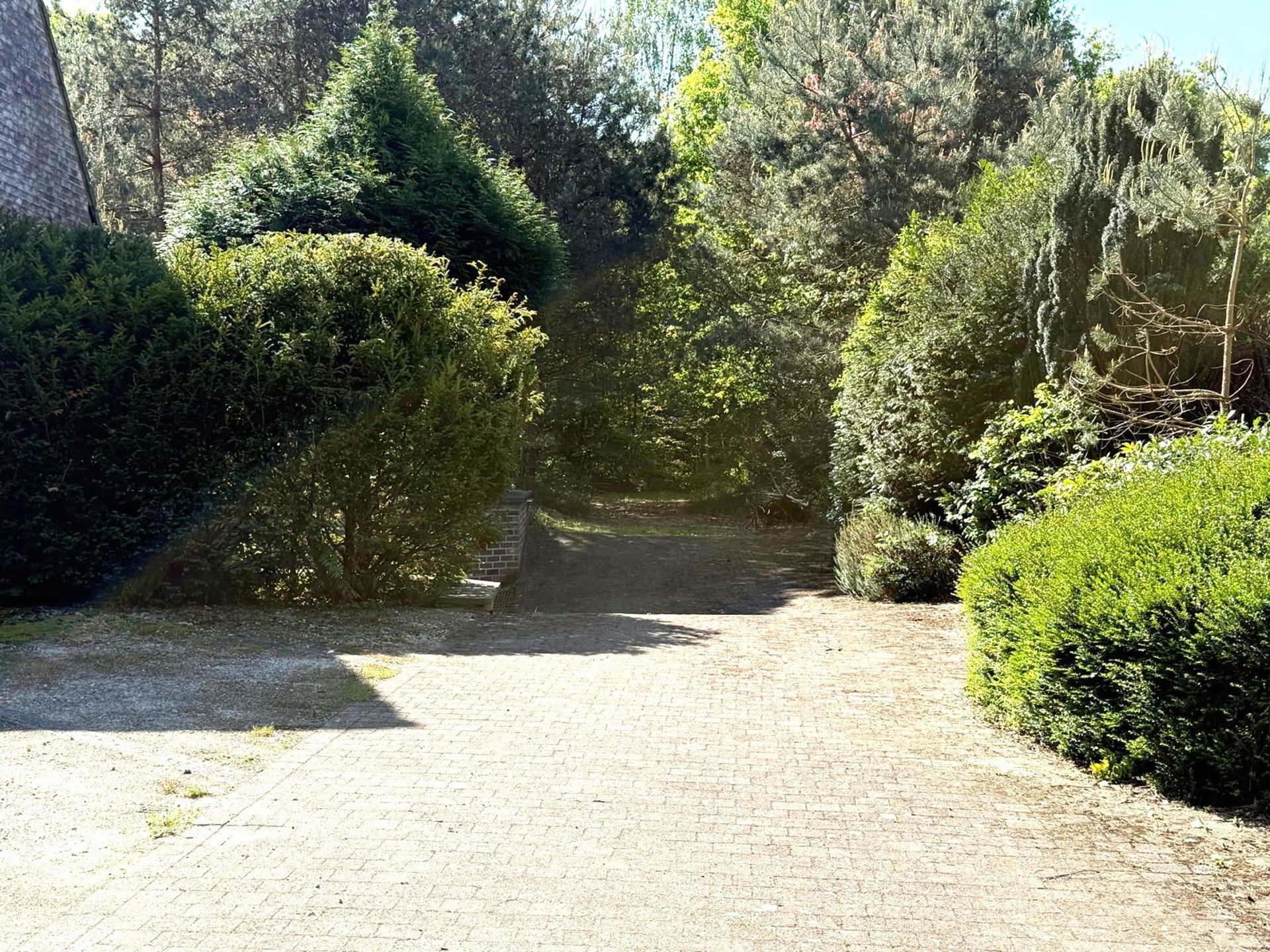 Ruime woning met veel grond foto 22