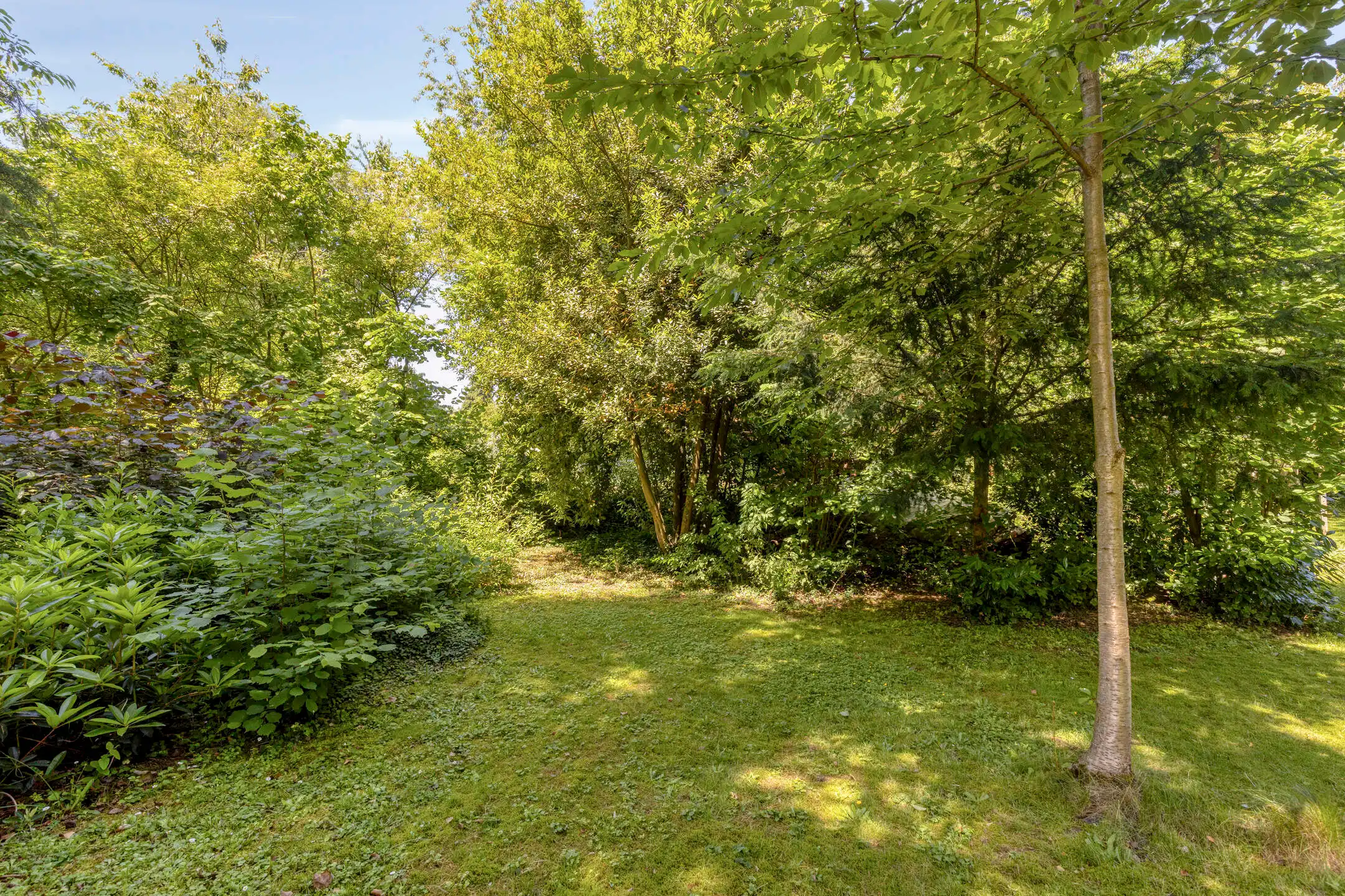 Ruime woning op 1.700 m² en optionele weide van 4.200 m² foto 24