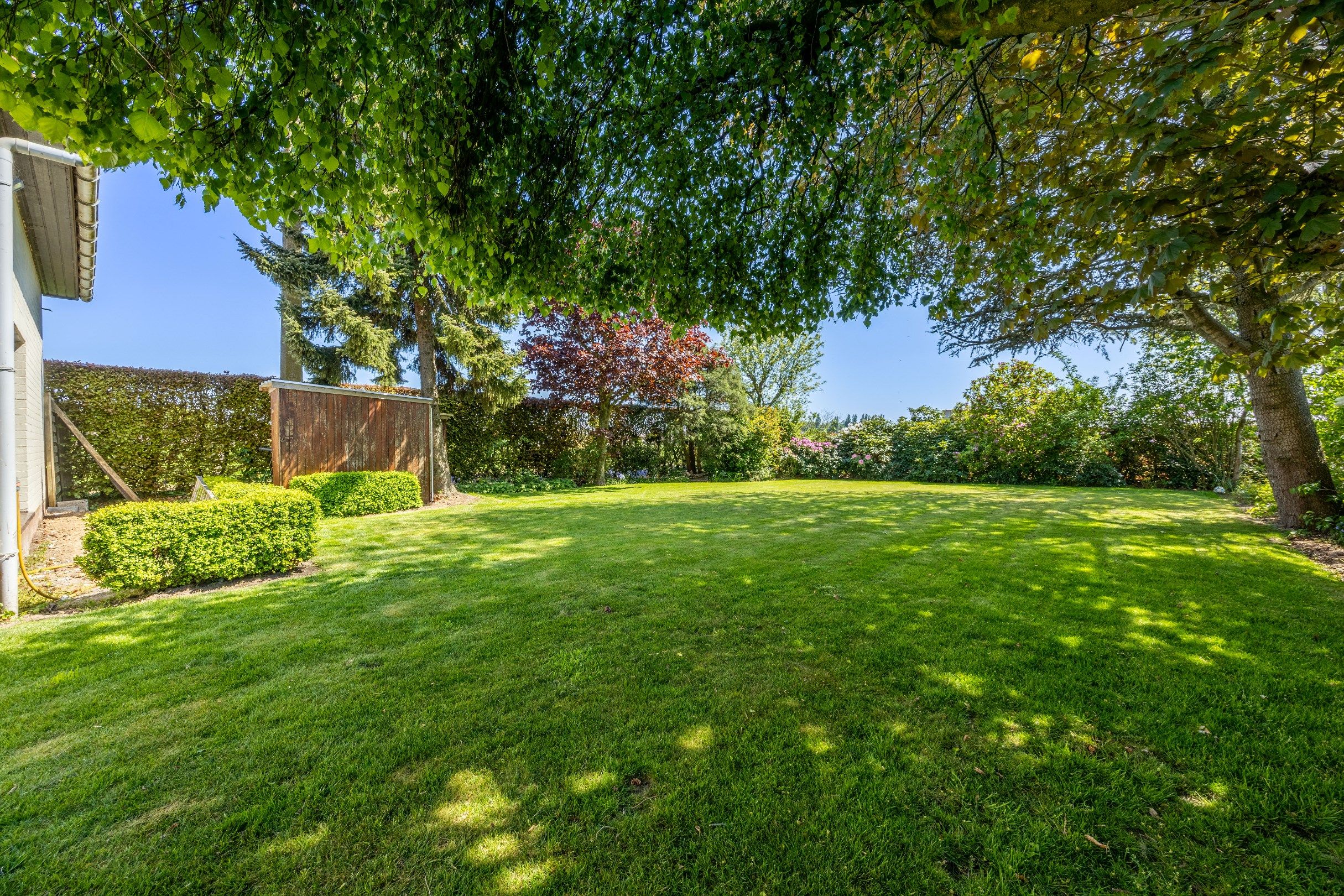 CHARME LANDHUIS  GELEGEN OP 1534 M² foto 4