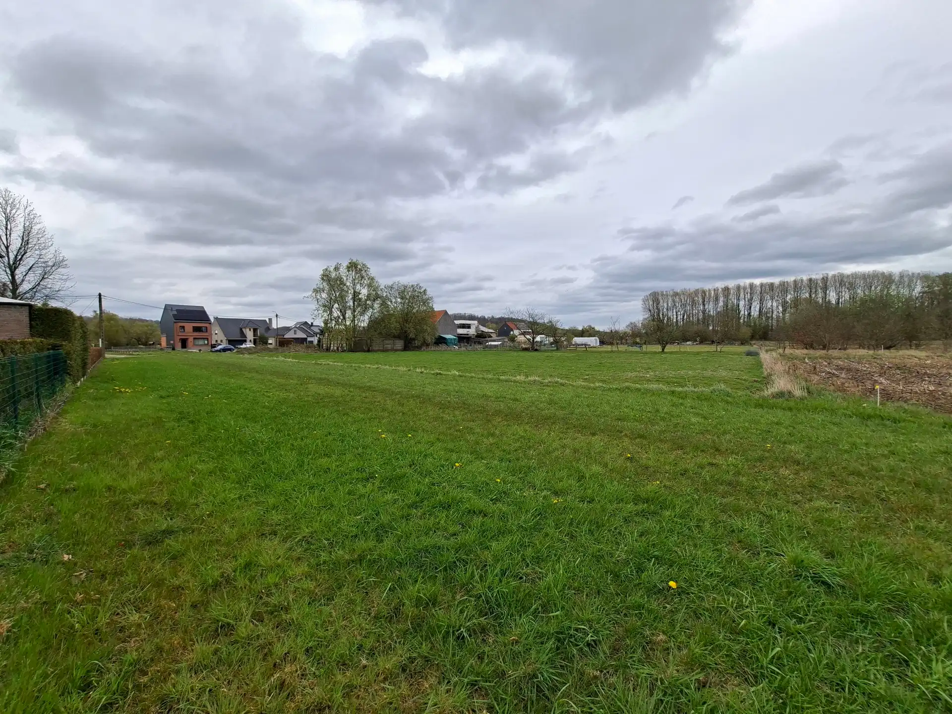 Bouwgrond van 26 are voor open bebouwing te Wezemaal foto 3