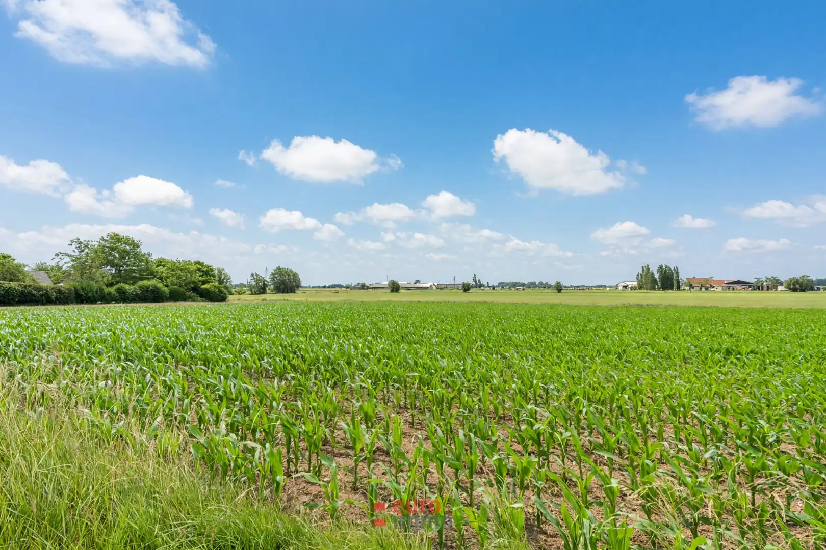 Exclusief gelegen bouwgrond aan de buitenrand van Ieper! foto 4
