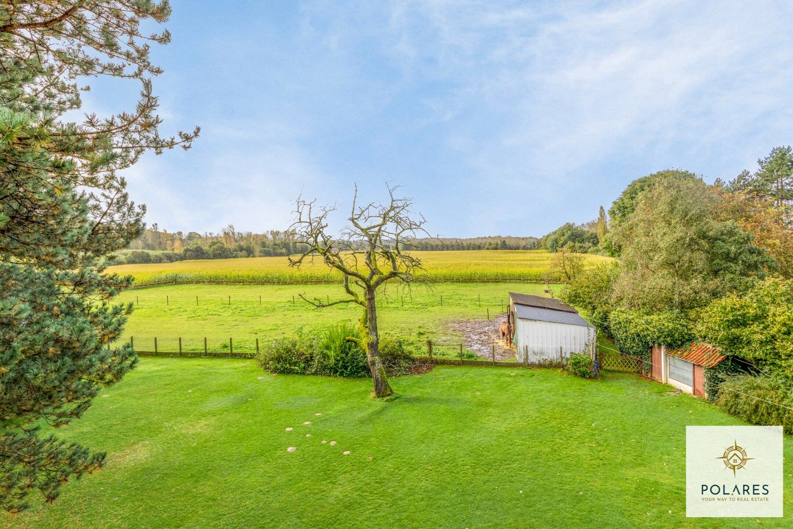 Prachtige te renoveren hoeve met paardenweide foto 22