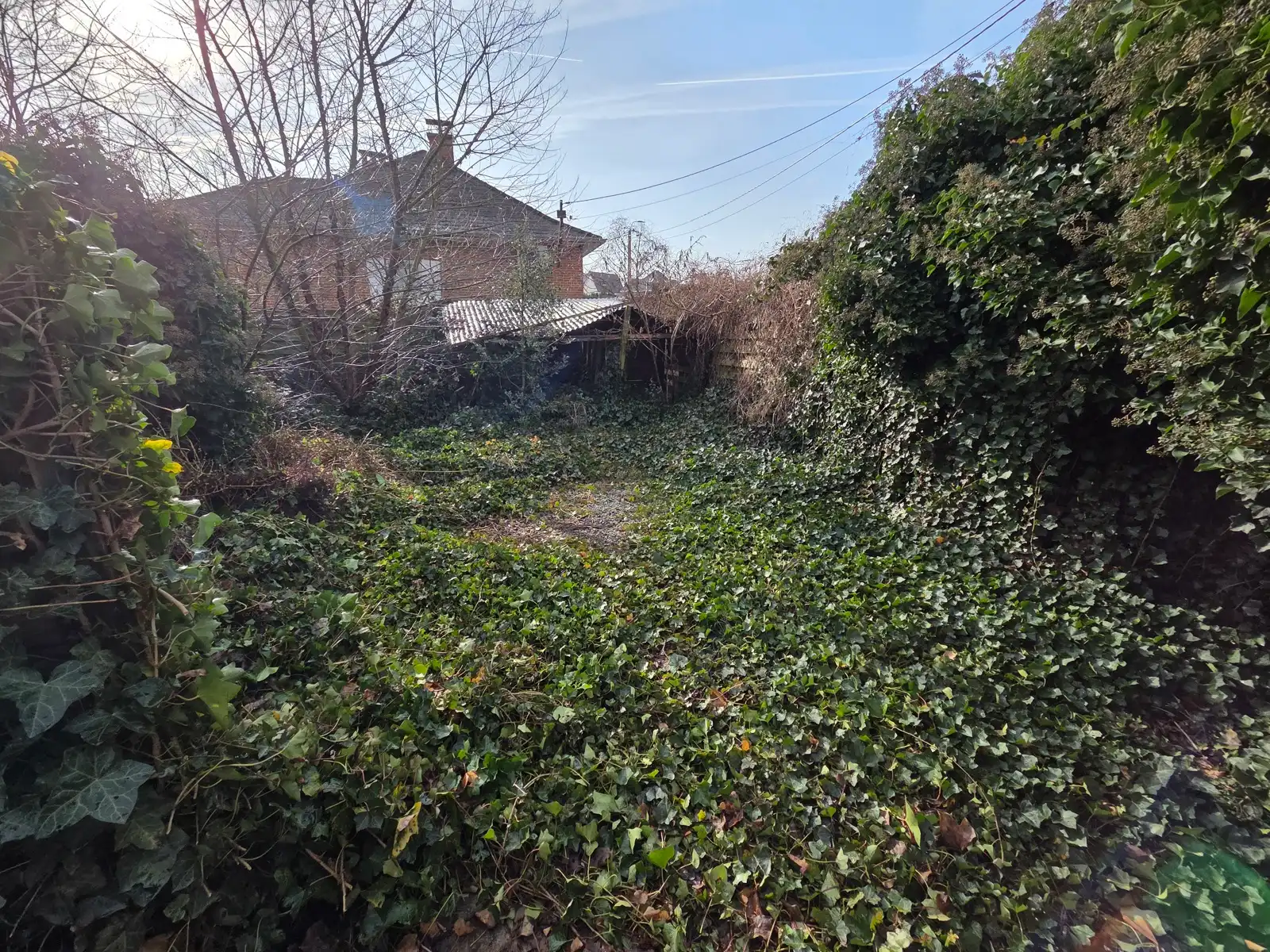 Charmante woning met 3 kamers en tuin - toplocatie Haacht foto 17