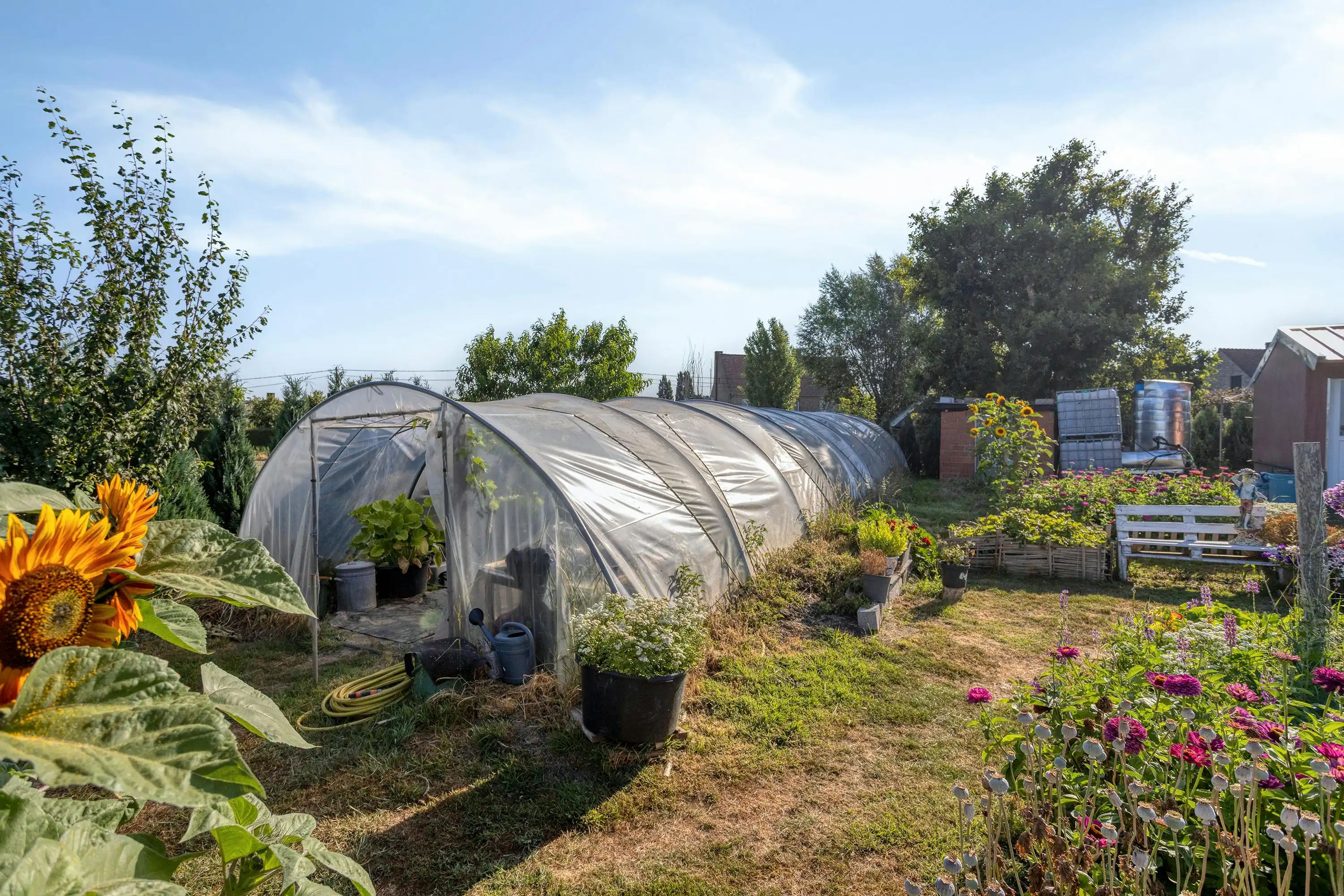 Landgebouw te koop, wonen niet mogelijk!  foto 11