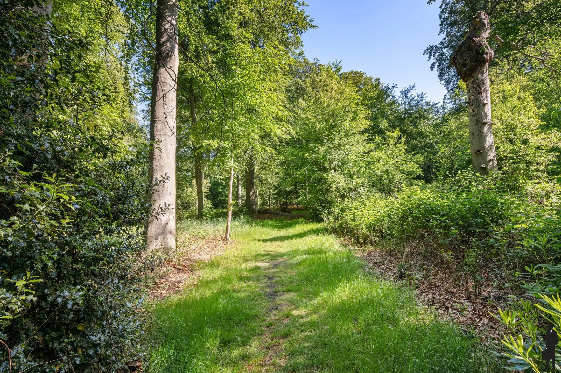 Royale dakduplex kasteel "Blauwhof"! foto 25