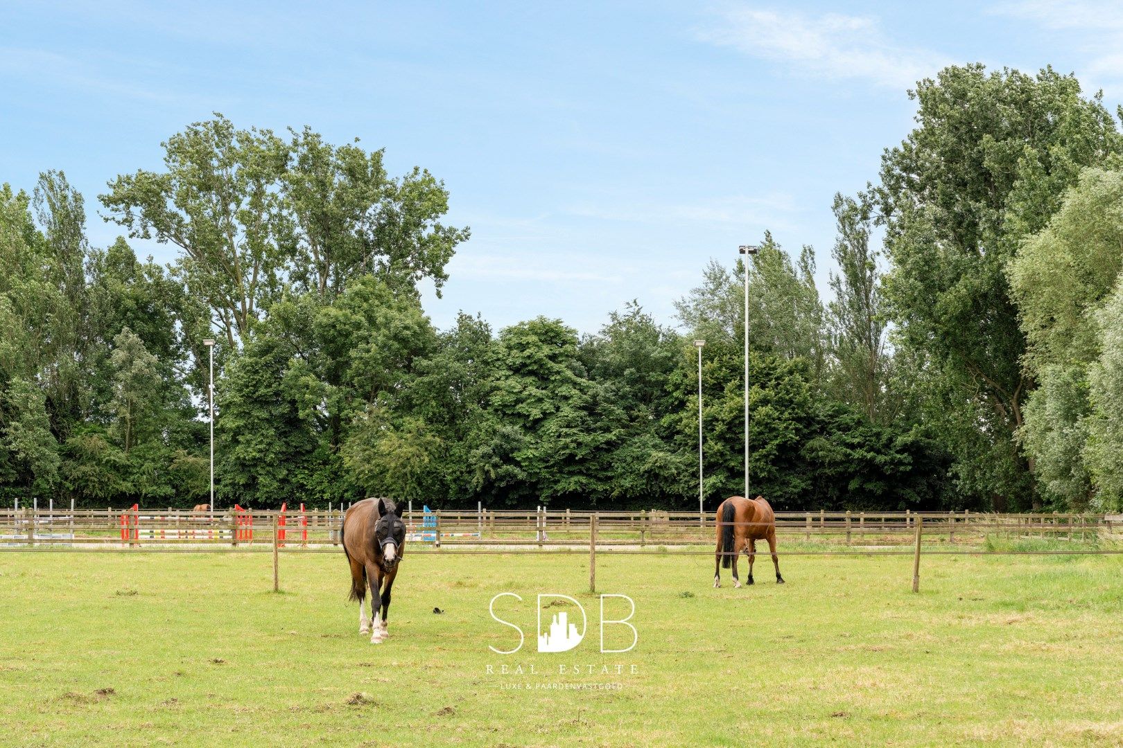 Prachtige villa met hippische accommodatie en graslanden op +/- 23 ha foto 48