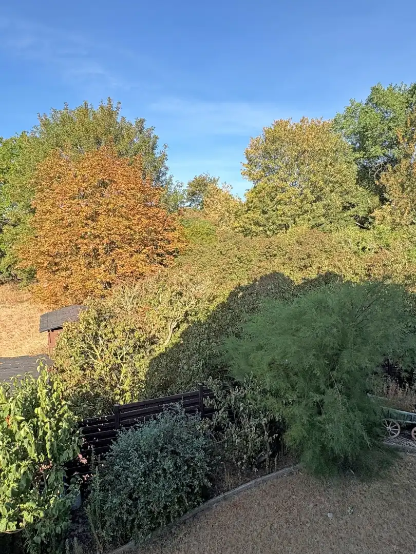 Op te knappen woning naast natuurgebied. foto 11