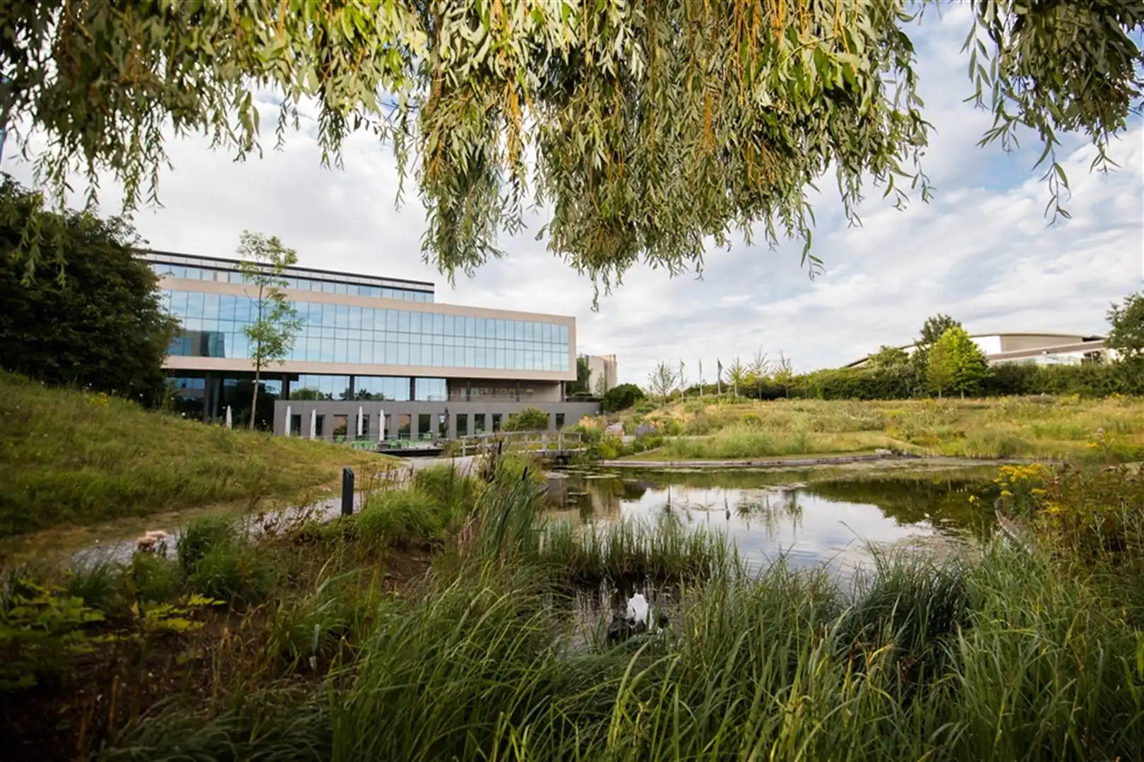 THE CRESCENT: kantoren te huur vanaf 18m² foto 5