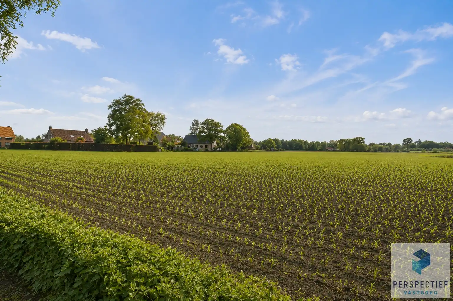 Rustig en centraal gelegen woning met landelijk uitzicht, grote garage en tuin foto 3