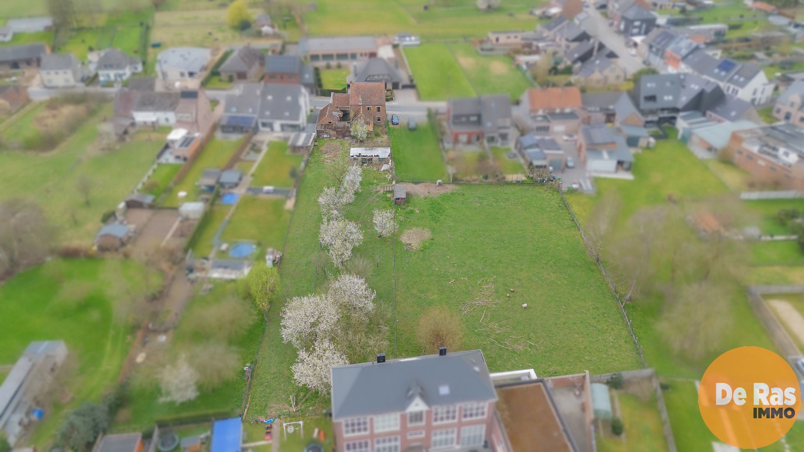 HAALTERT-  Renovatieproject met veel potentieel op 43a 84ca! foto 22