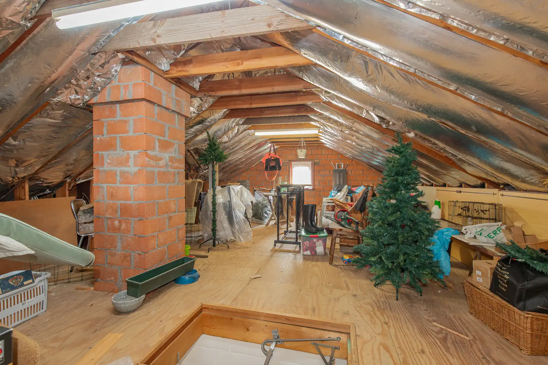 Fantastisch gelegen bungalow foto 10